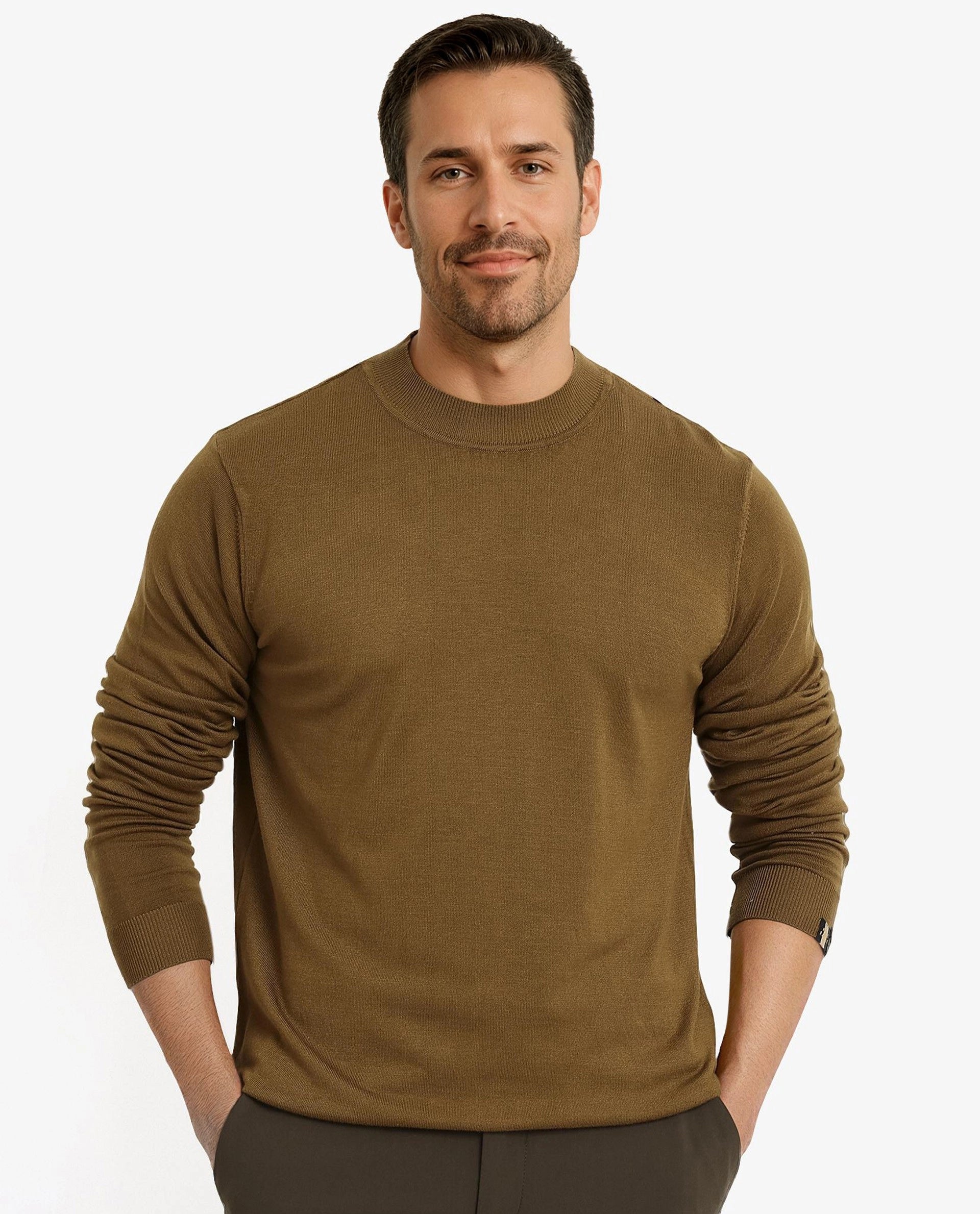 Rare Rabbit Men's Alfot Olive Viscose Nylon Fabric Full Sleeve High Neck Regular Fit Plain Sweater