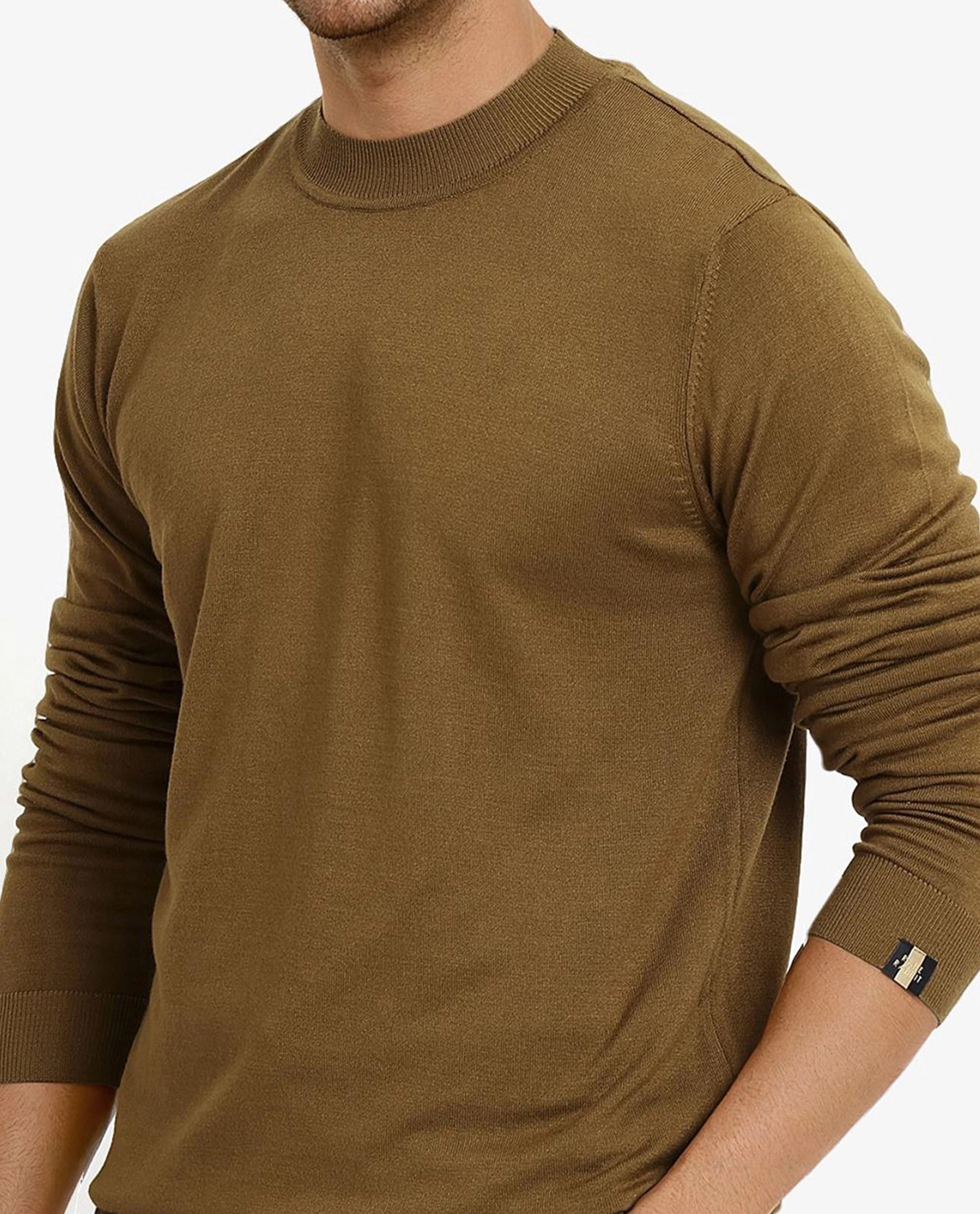 Rare Rabbit Men's Alfot Olive Viscose Nylon Fabric Full Sleeve High Neck Regular Fit Plain Sweater
