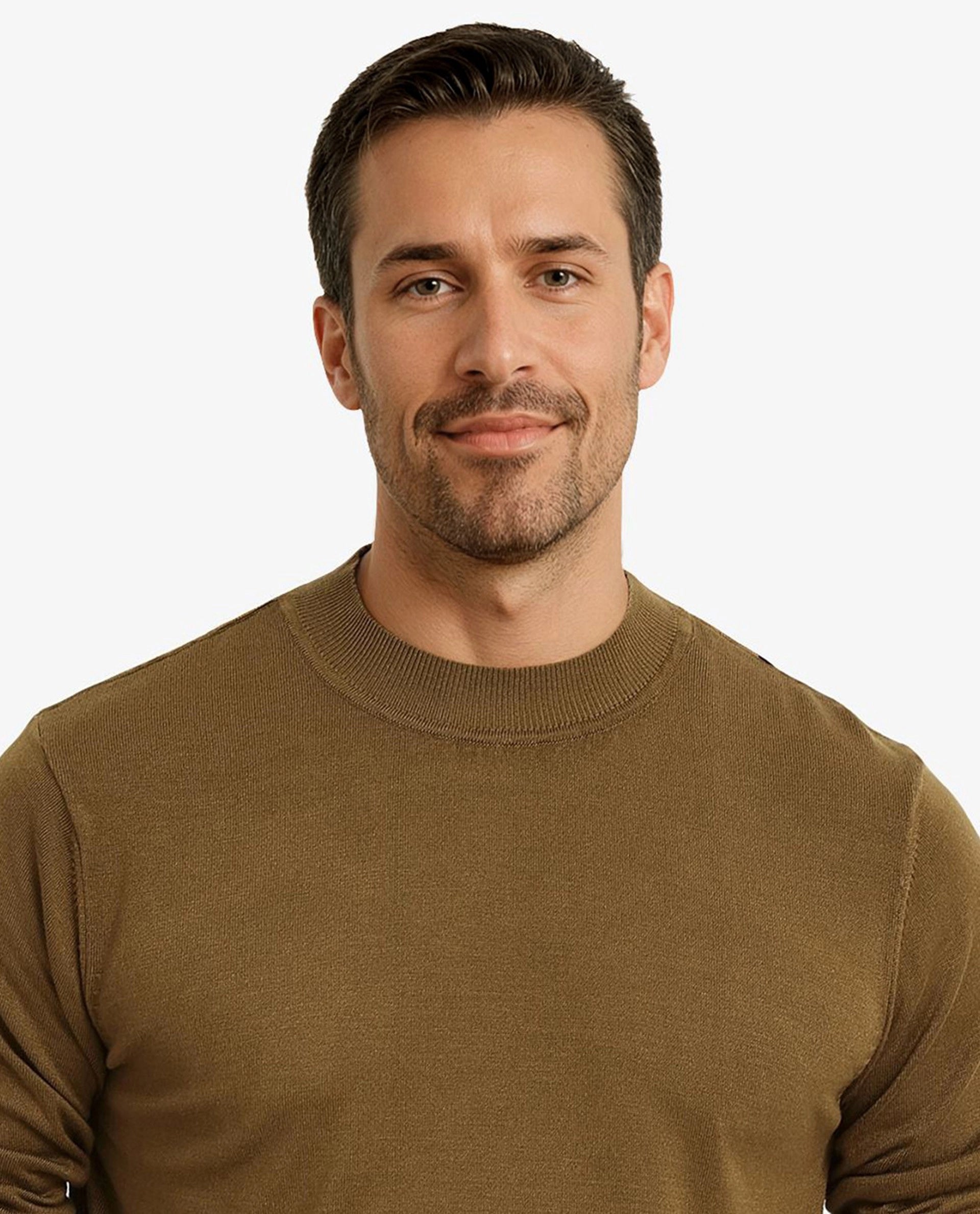 Rare Rabbit Men's Alfot Olive Viscose Nylon Fabric Full Sleeve High Neck Regular Fit Plain Sweater