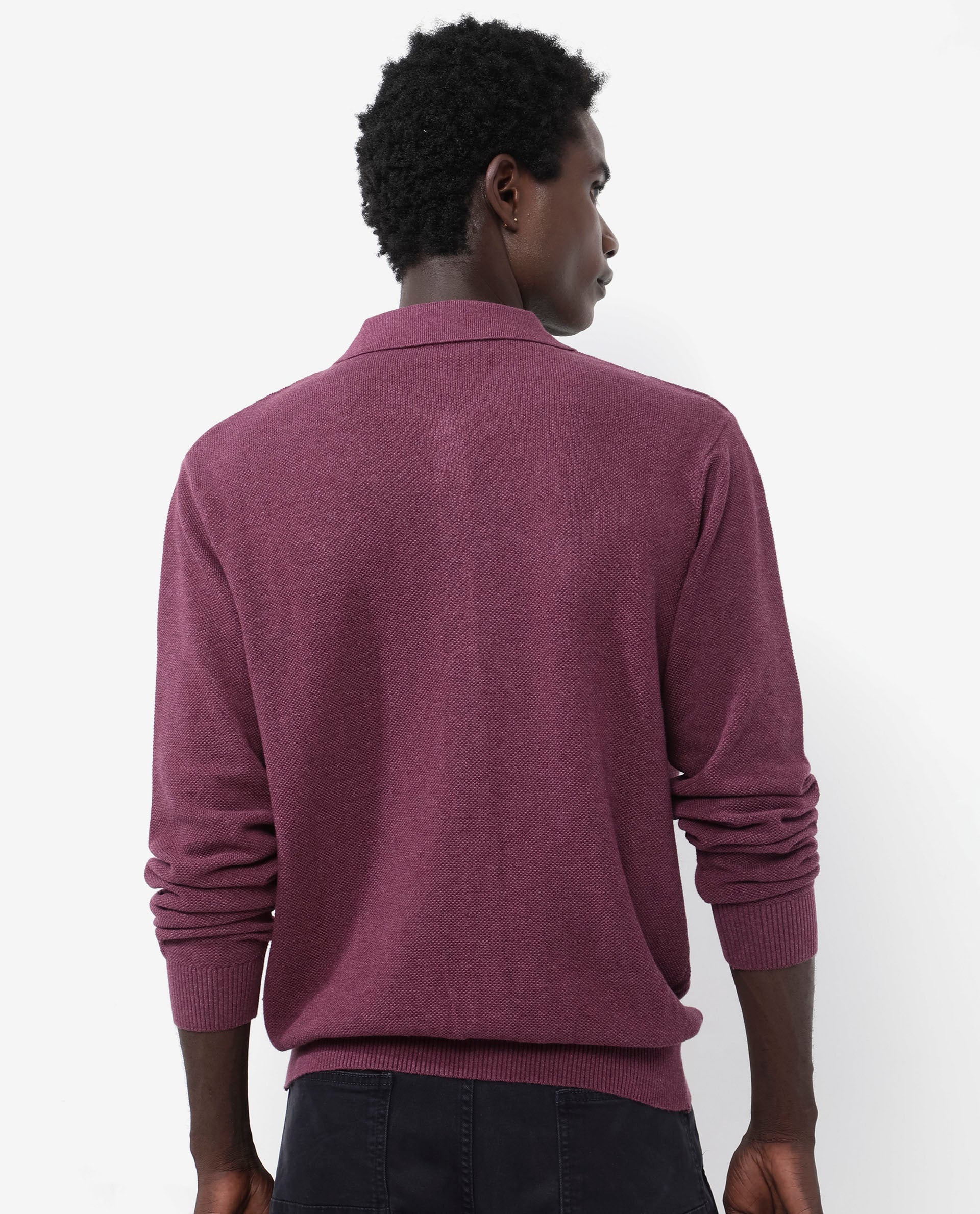 Rare Rabbit Men's Alias-N Dusky Purple Cotton Fabric Full Sleeve Regular Collar Regular Fit Knitted Shirt