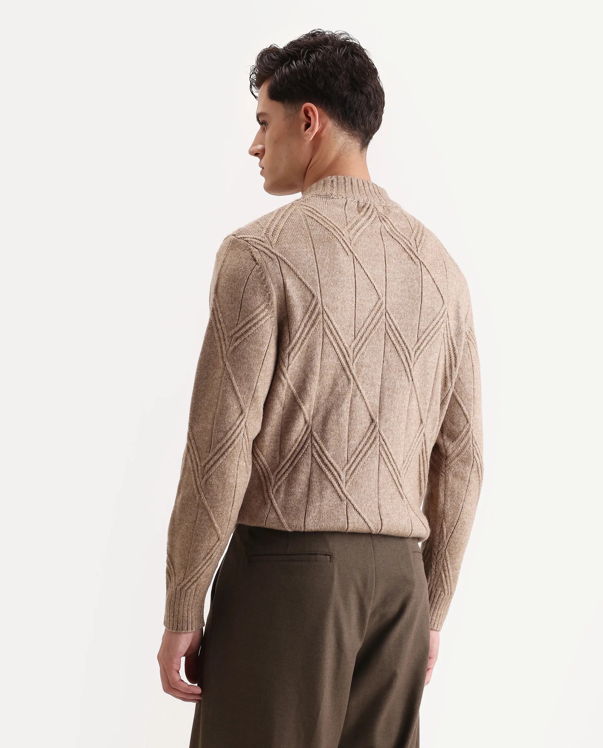 Rare Rabbit Men's Alli Dark Beige Polyester Plain Regular Fit Full Sleeve High Neck Sweater