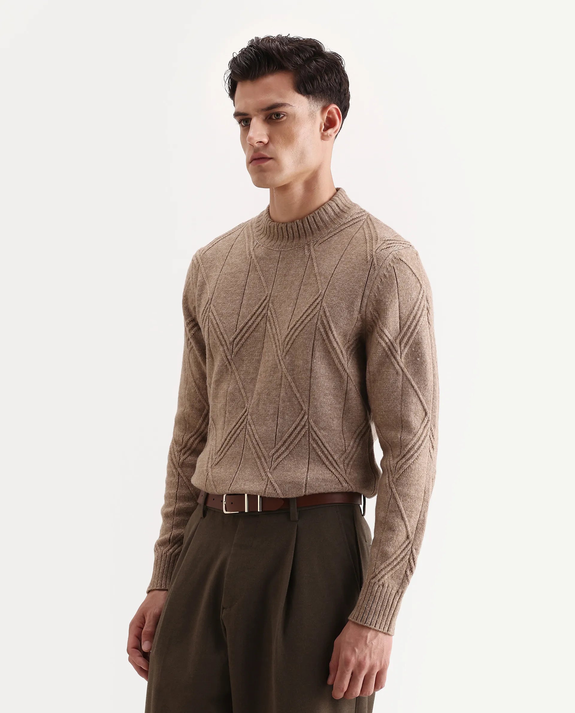 Rare Rabbit Men's Alli Dark Beige Polyester Plain Regular Fit Full Sleeve High Neck Sweater