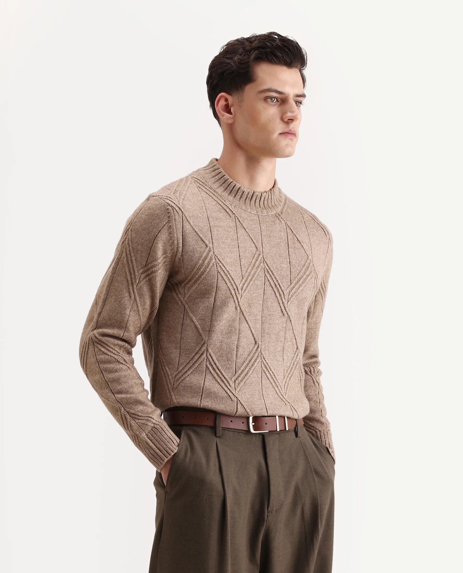 Rare Rabbit Men's Alli Dark Beige Polyester Plain Regular Fit Full Sleeve High Neck Sweater