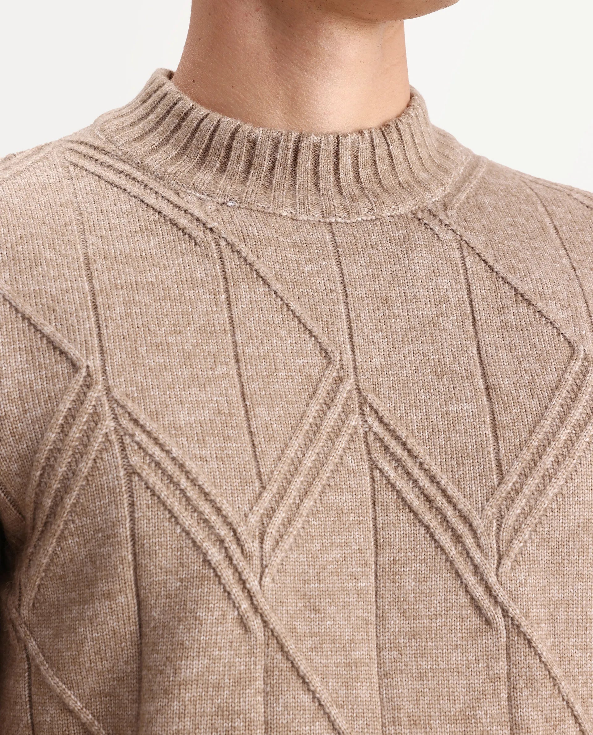 Rare Rabbit Men's Alli Dark Beige Polyester Plain Regular Fit Full Sleeve High Neck Sweater