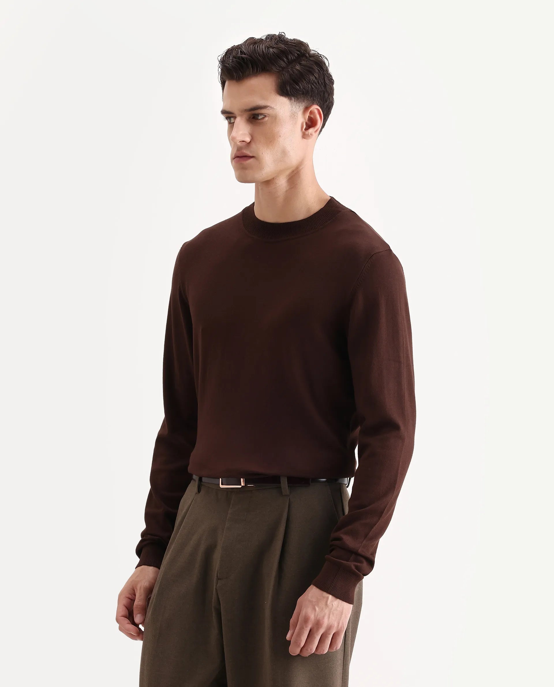 Rare Rabbit Men's Alva Dark Brown Viscose Plain Regular Fit Full Sleeve High Neck Sweater