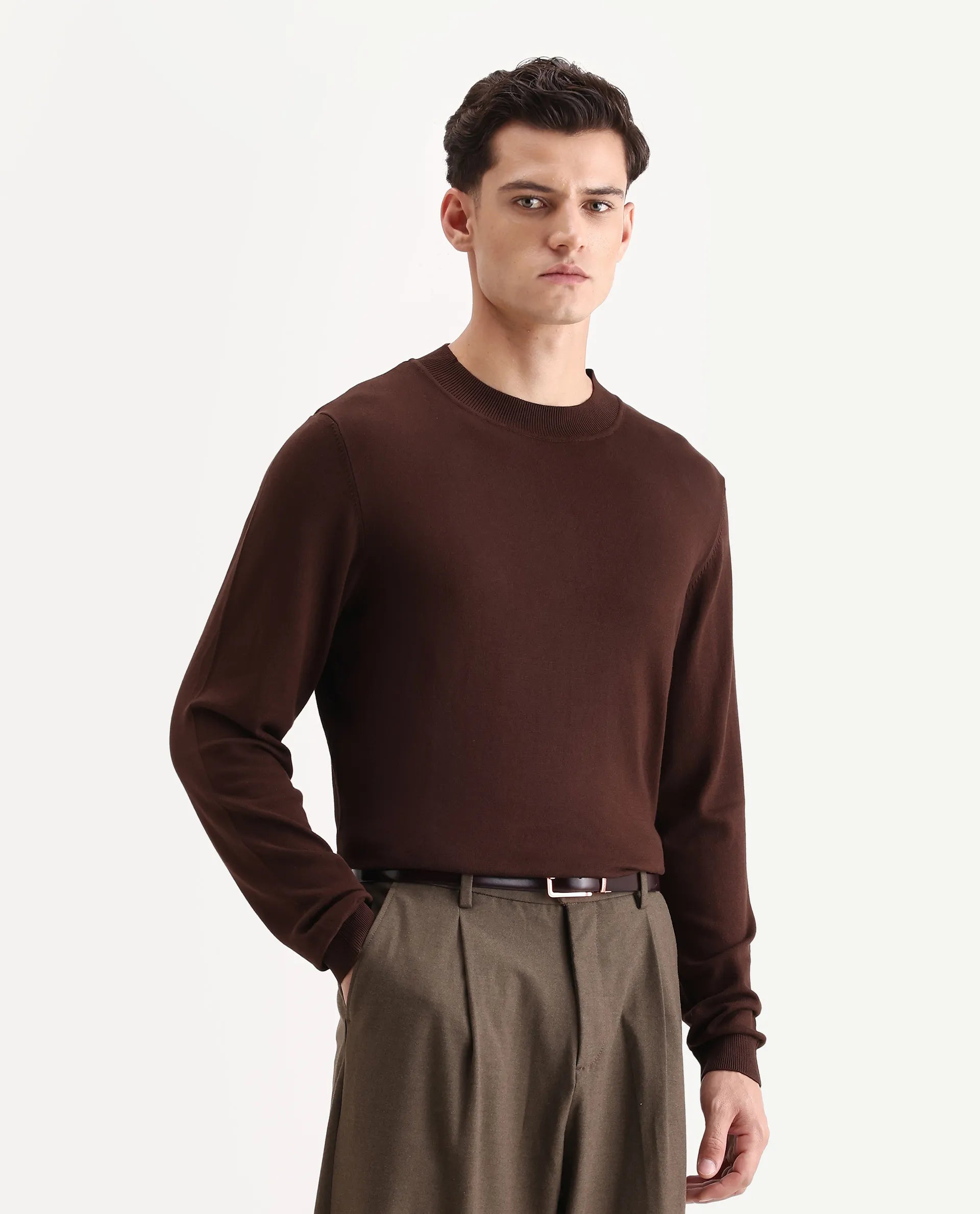 Rare Rabbit Men's Alva Dark Brown Viscose Plain Regular Fit Full Sleeve High Neck Sweater