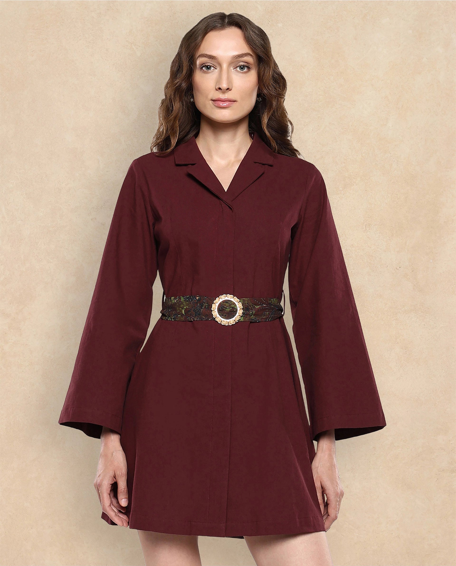 Rareism Women Alvida Brown Full Sleeve Lapel Neck Button Closure A-Line Mini Plain Dress