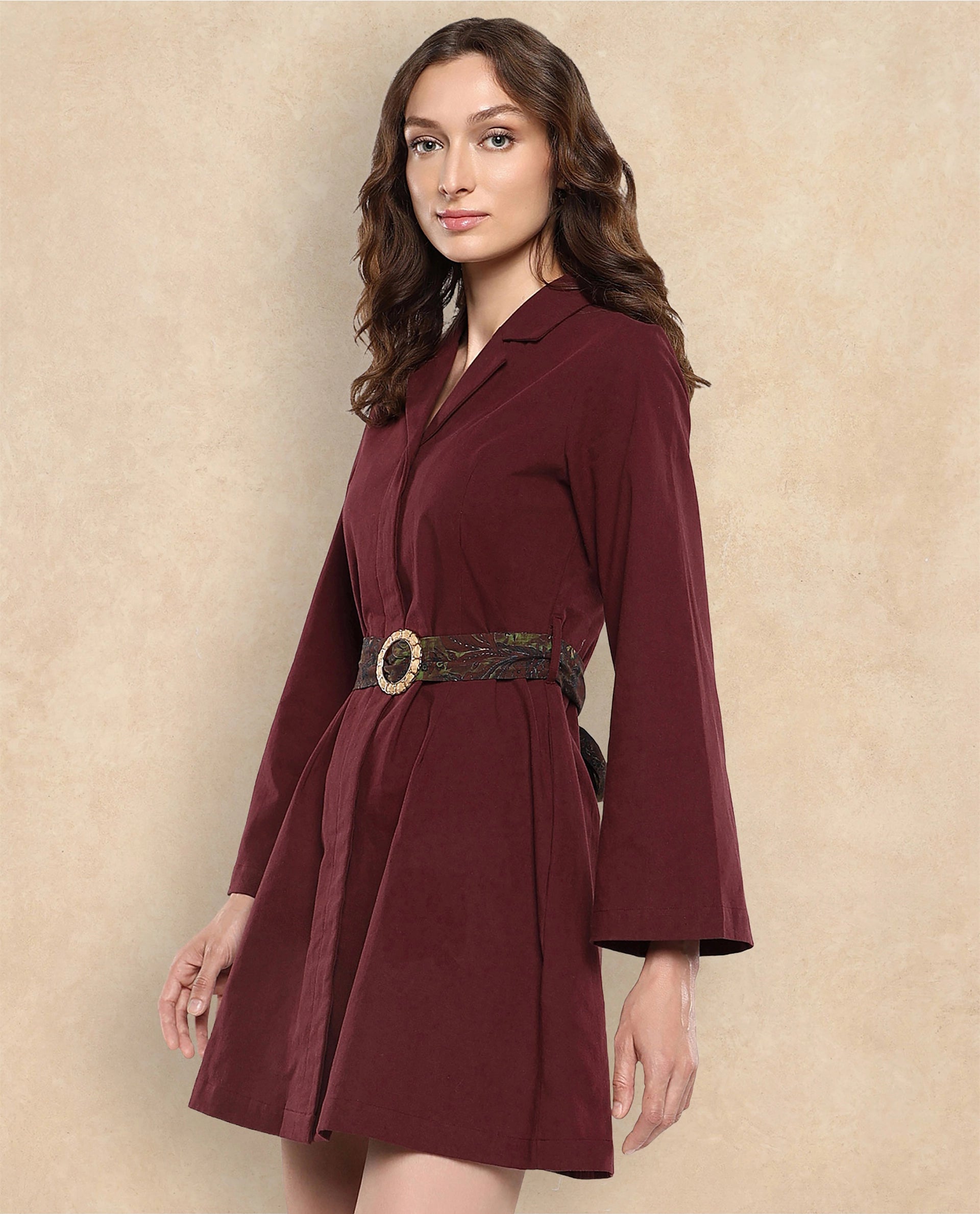 Rareism Women Alvida Brown Full Sleeve Lapel Neck Button Closure A-Line Mini Plain Dress