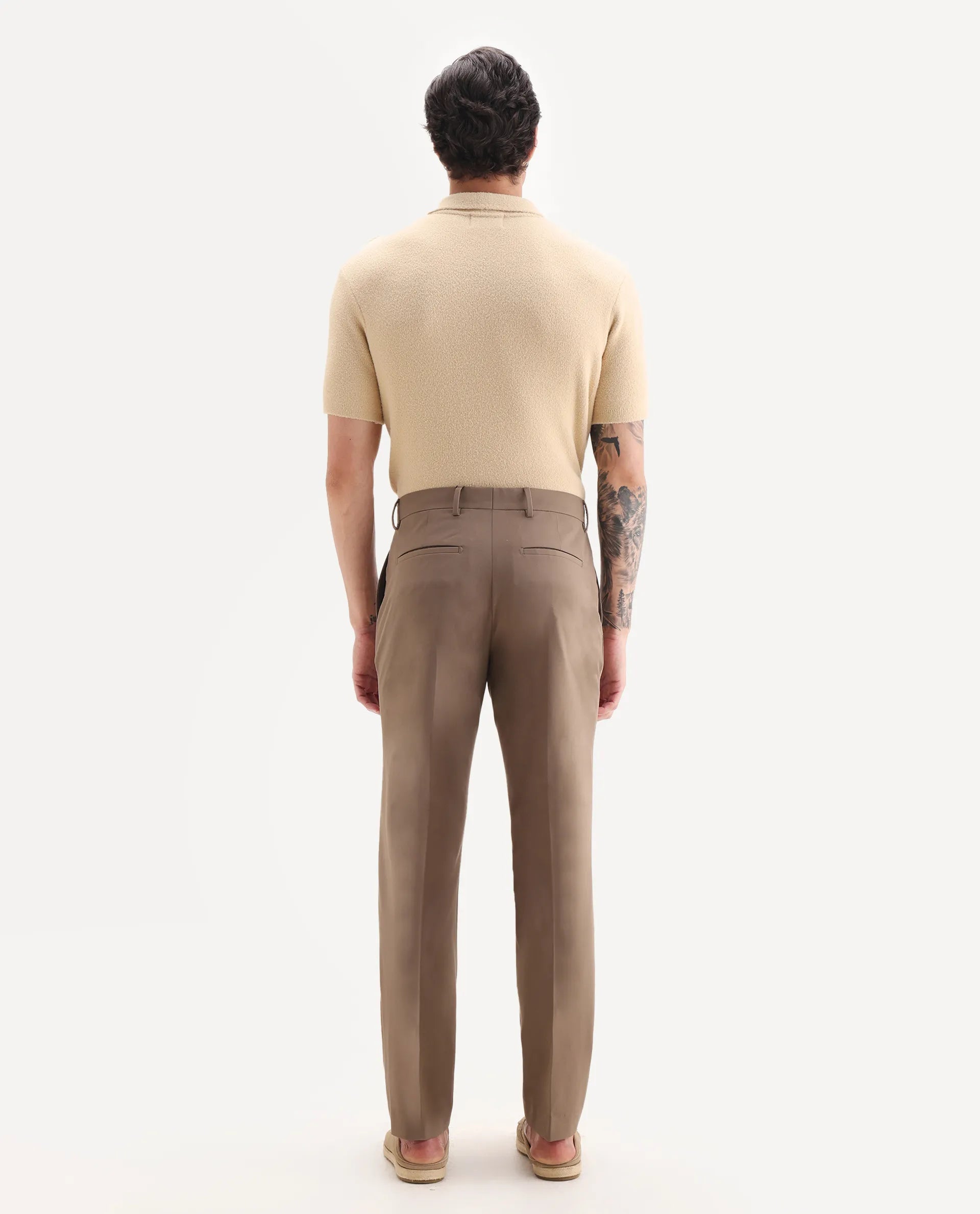 Rare Rabbit Men Arcade Beige Polyester Fabric Hook And Zipper Closure Regular Fit Plain Trouser