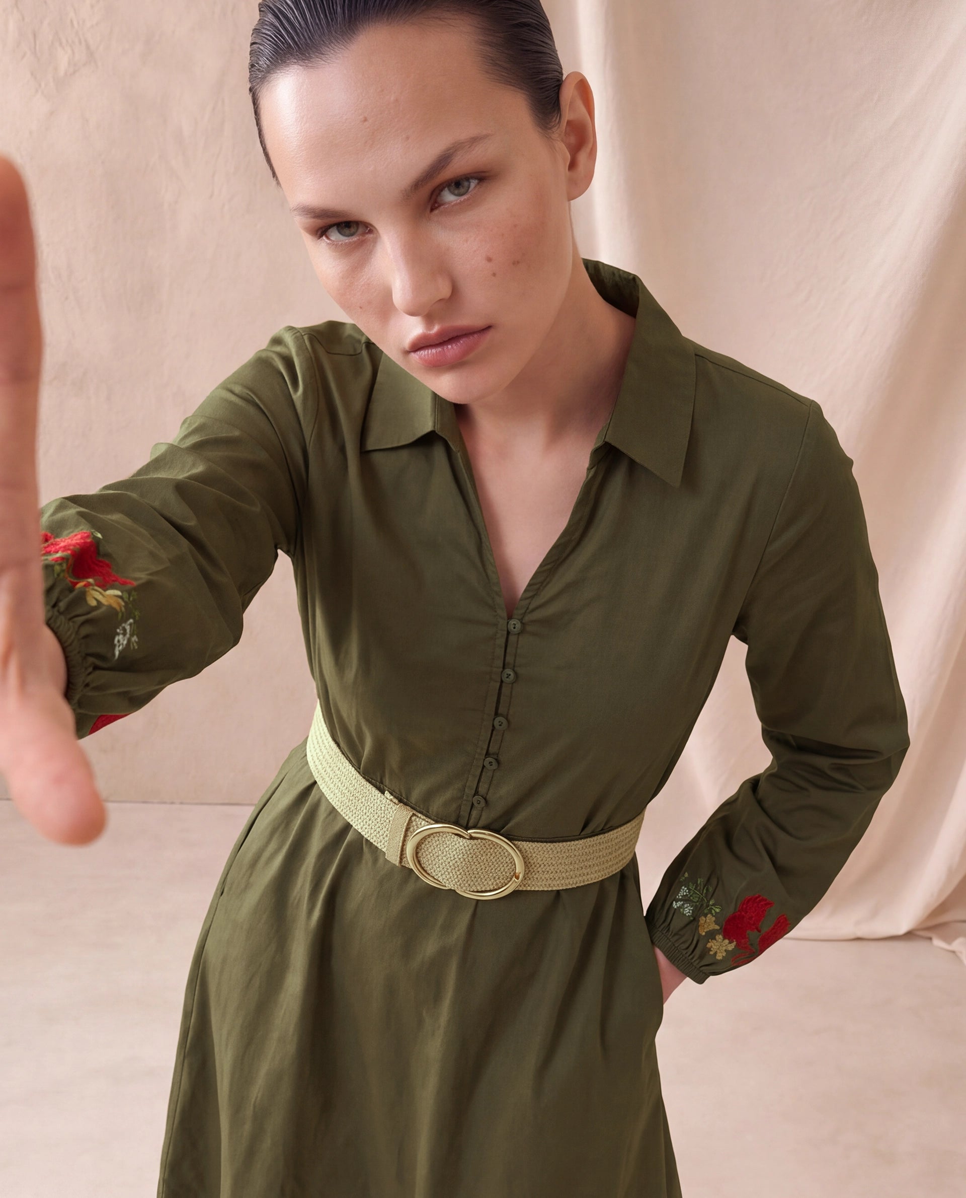 Rareism Women's Avaci Olive Cotton Satin Full Sleeve Fit And Flare Plain Dress