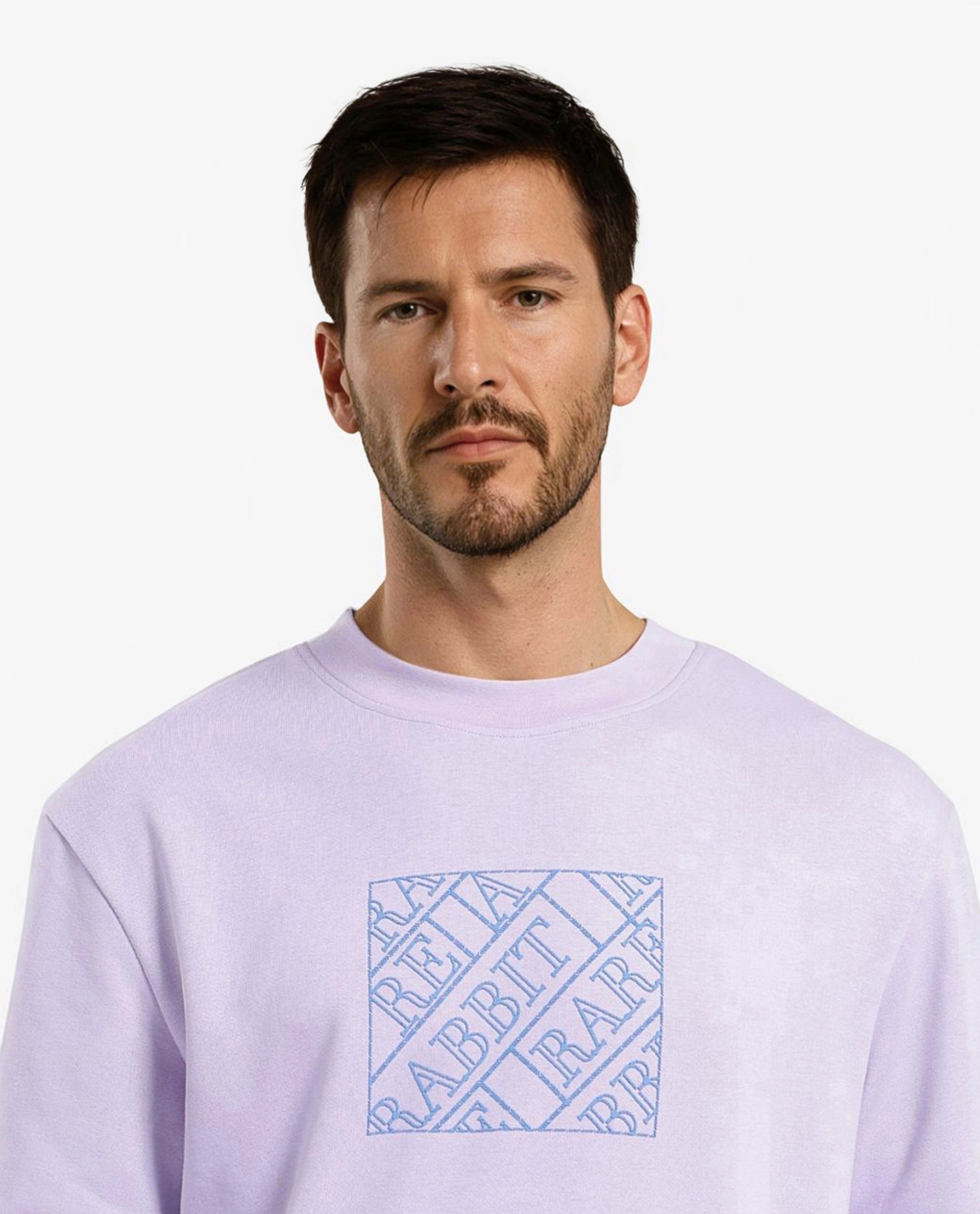 Rare Rabbit Men's Axton Pastel Purple Cotton Blend Fabric Full Sleeve Crew Neck Regular Fit HD Print Sweatshirt