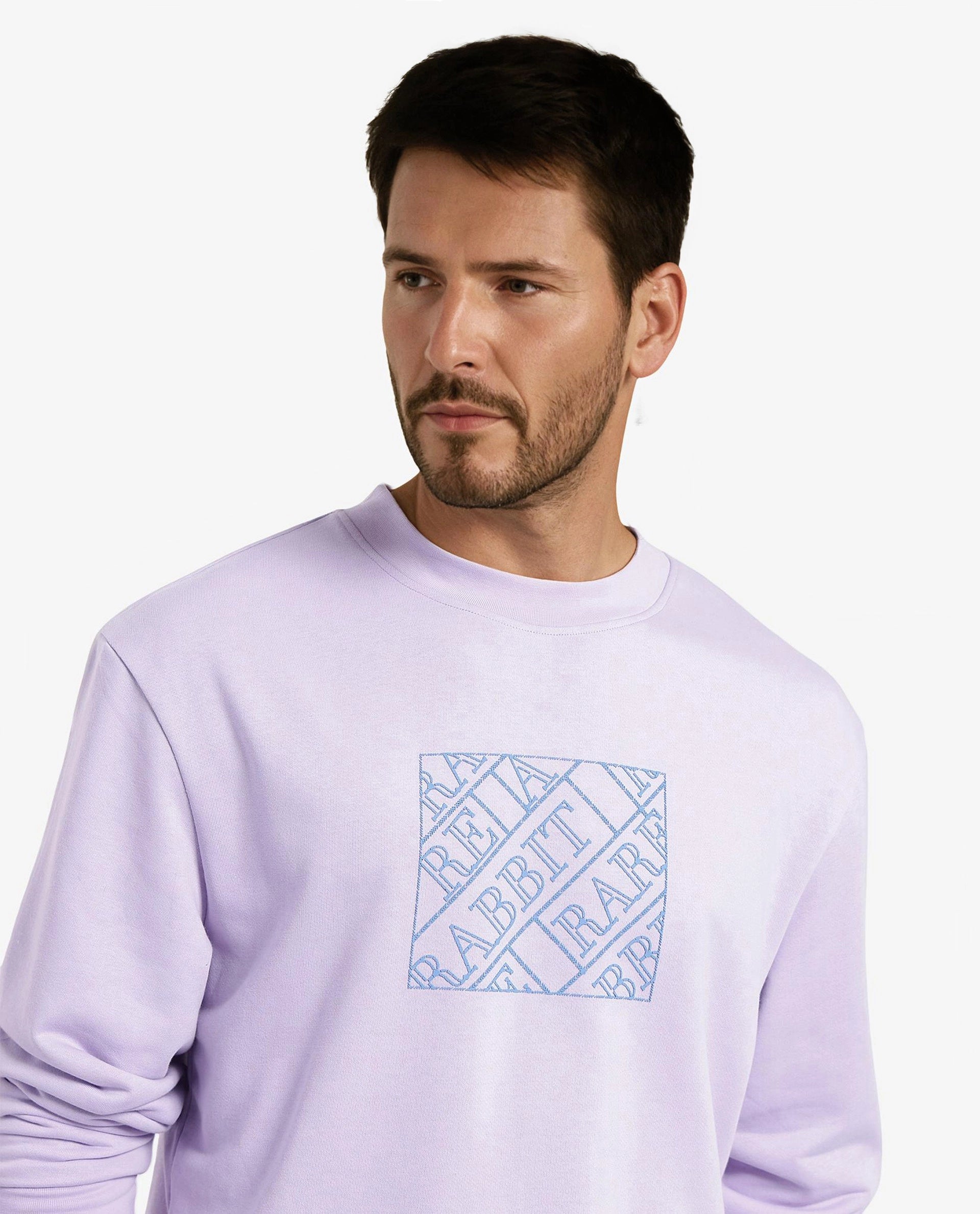 Rare Rabbit Men's Axton Pastel Purple Cotton Blend Fabric Full Sleeve Crew Neck Regular Fit HD Print Sweatshirt
