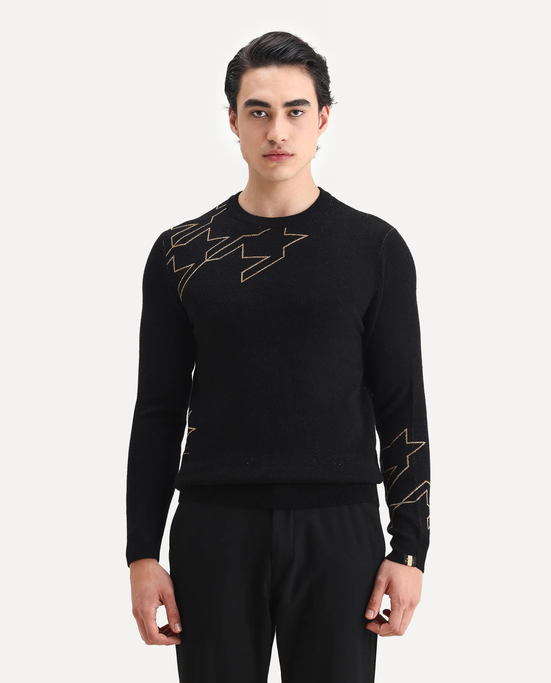 Rare Rabbit Men's Baset Black Polyester Jacquard Regular Fit Full Sleeve Crew Neck Sweater