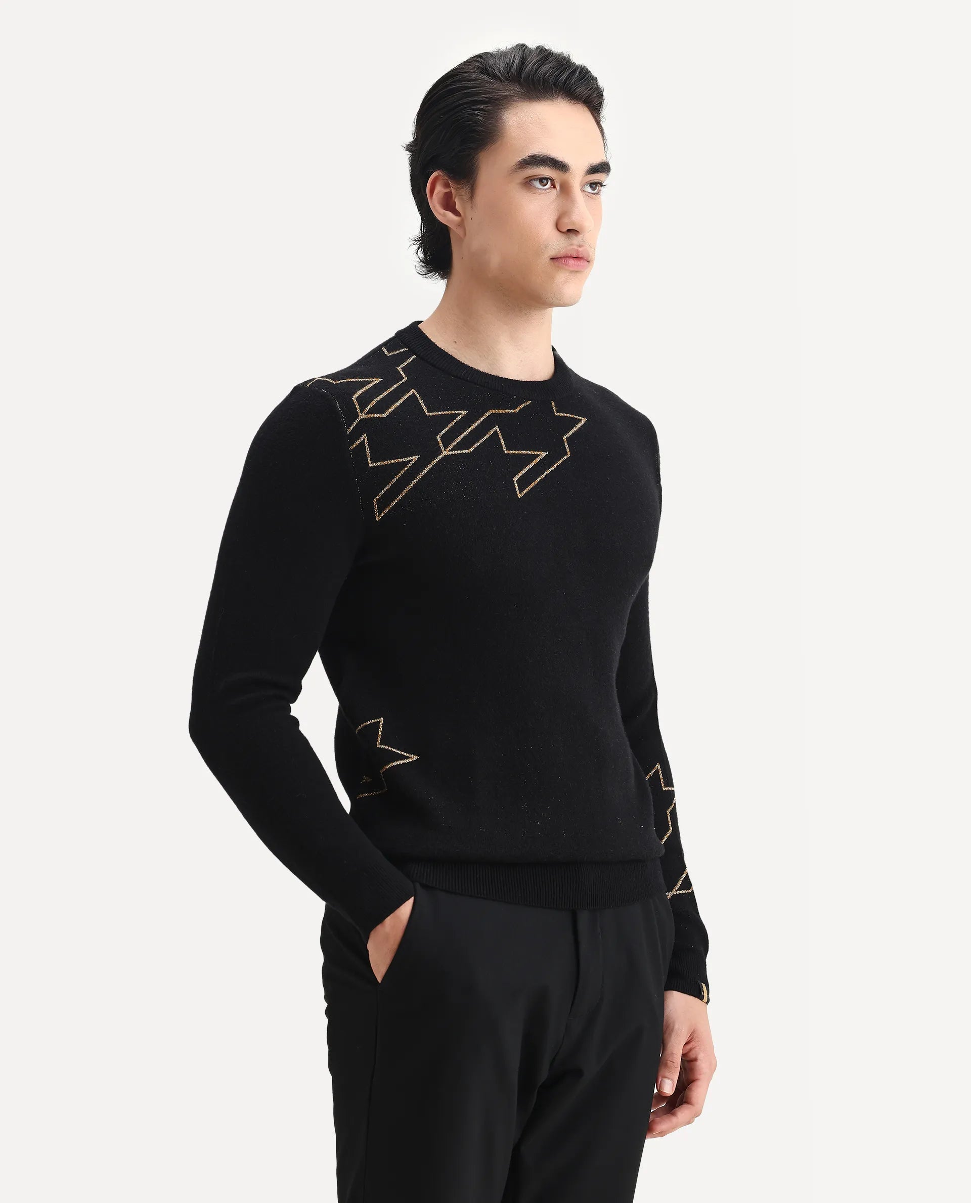 Rare Rabbit Men's Baset Black Polyester Jacquard Regular Fit Full Sleeve Crew Neck Sweater