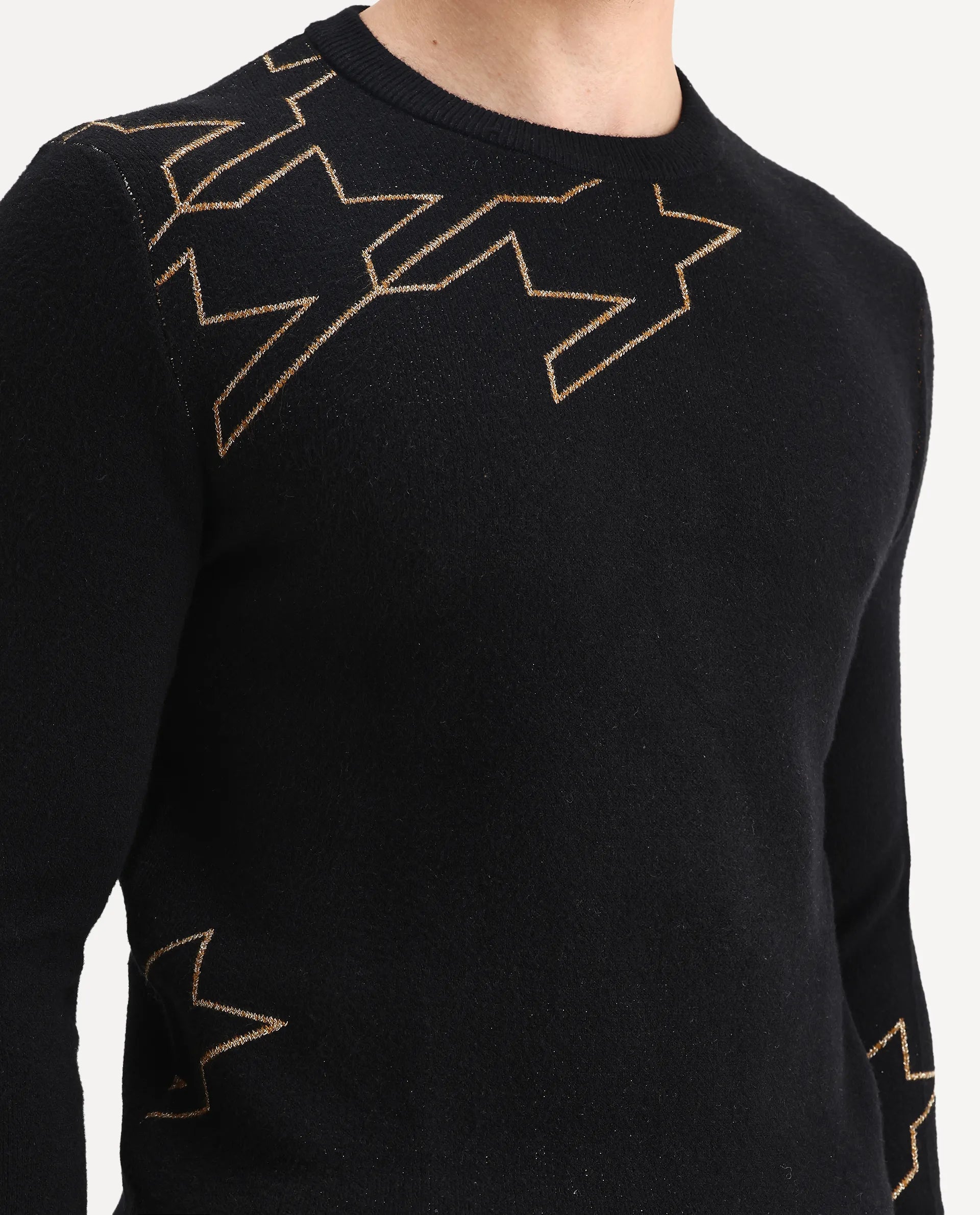 Rare Rabbit Men's Baset Black Polyester Jacquard Regular Fit Full Sleeve Crew Neck Sweater