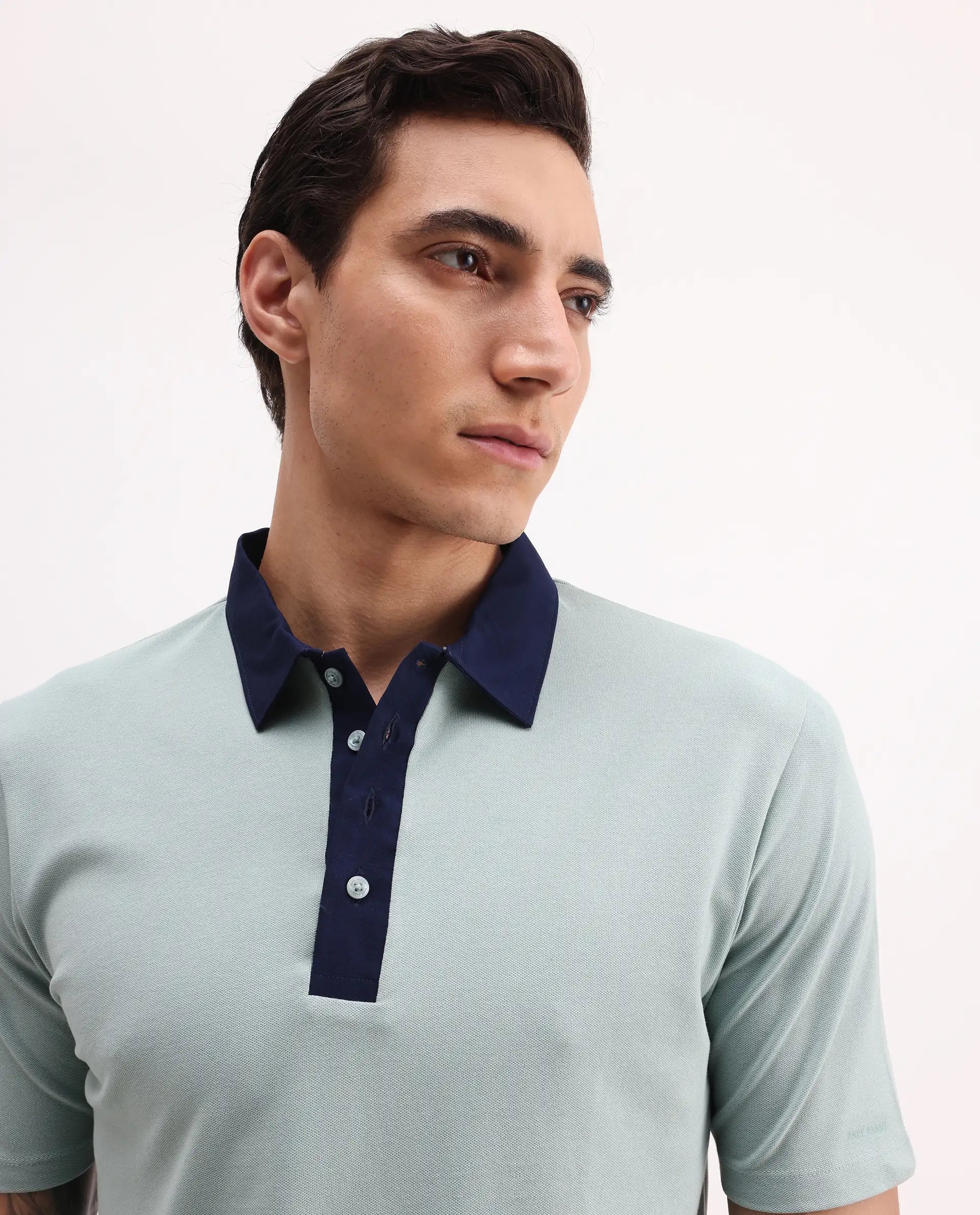 Rare Rabbit Men's Belton Pastel Green Cotton Blend Plain Regular Fit Half Sleeve Polo