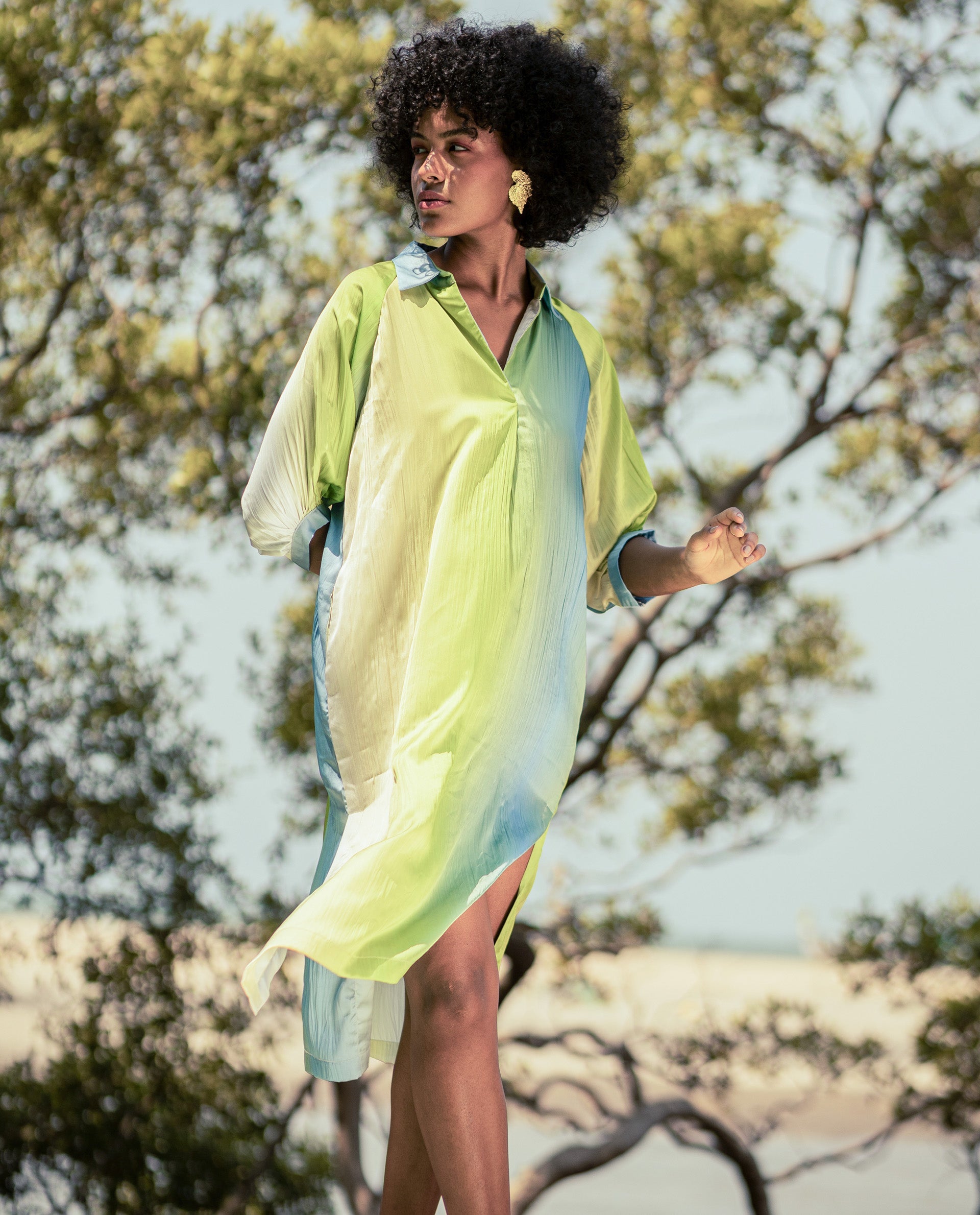 Rareism Women Boris Multi Polyester Fabric Cap Sleeve Collared Neck Ombre Longline Dress