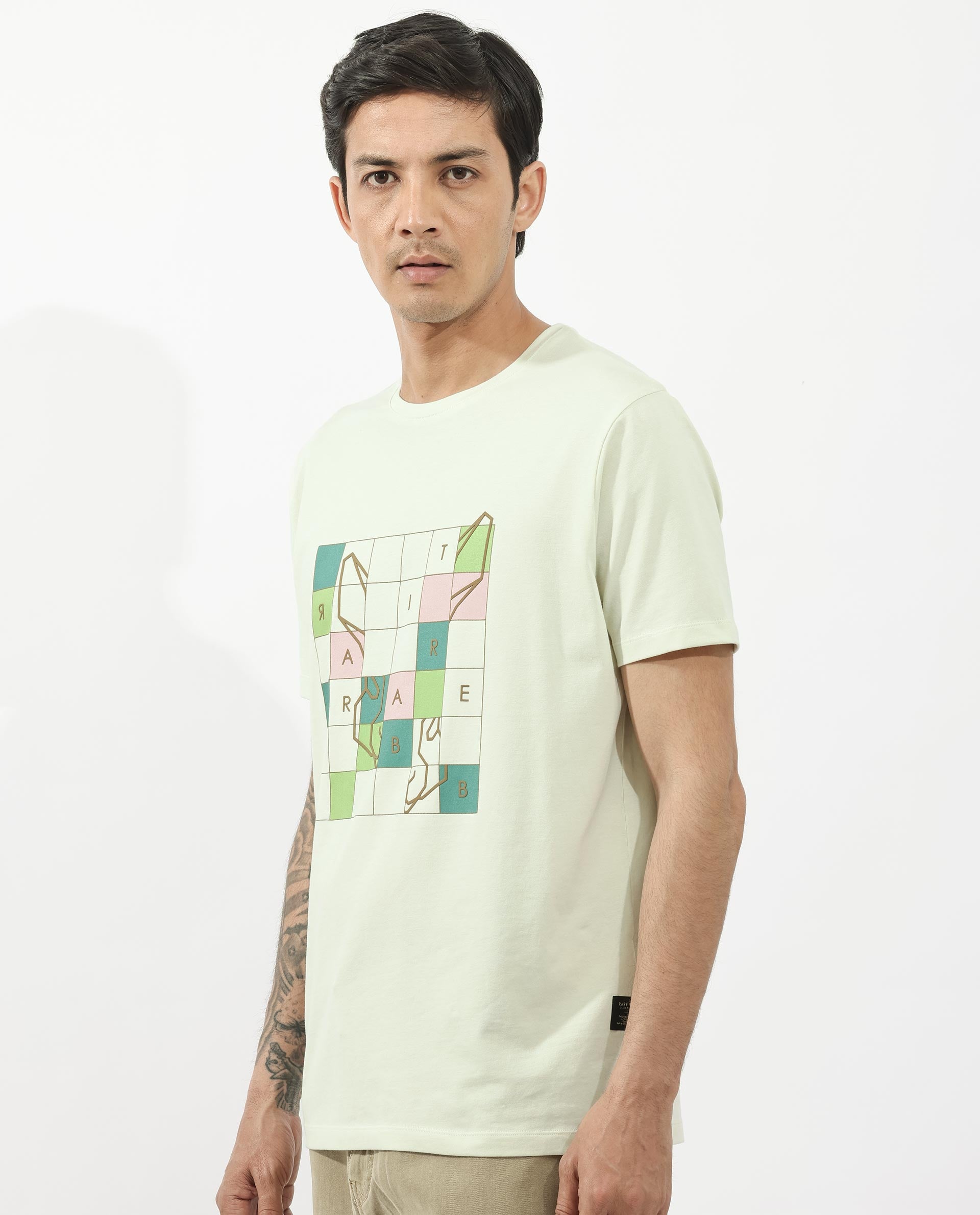 Rare Rabbit Articale Mens Cove Pastel Green Cotton Polyester Fabric Short Sleeve Crew Neck Regular Fit Graphic Printed T-Shirt