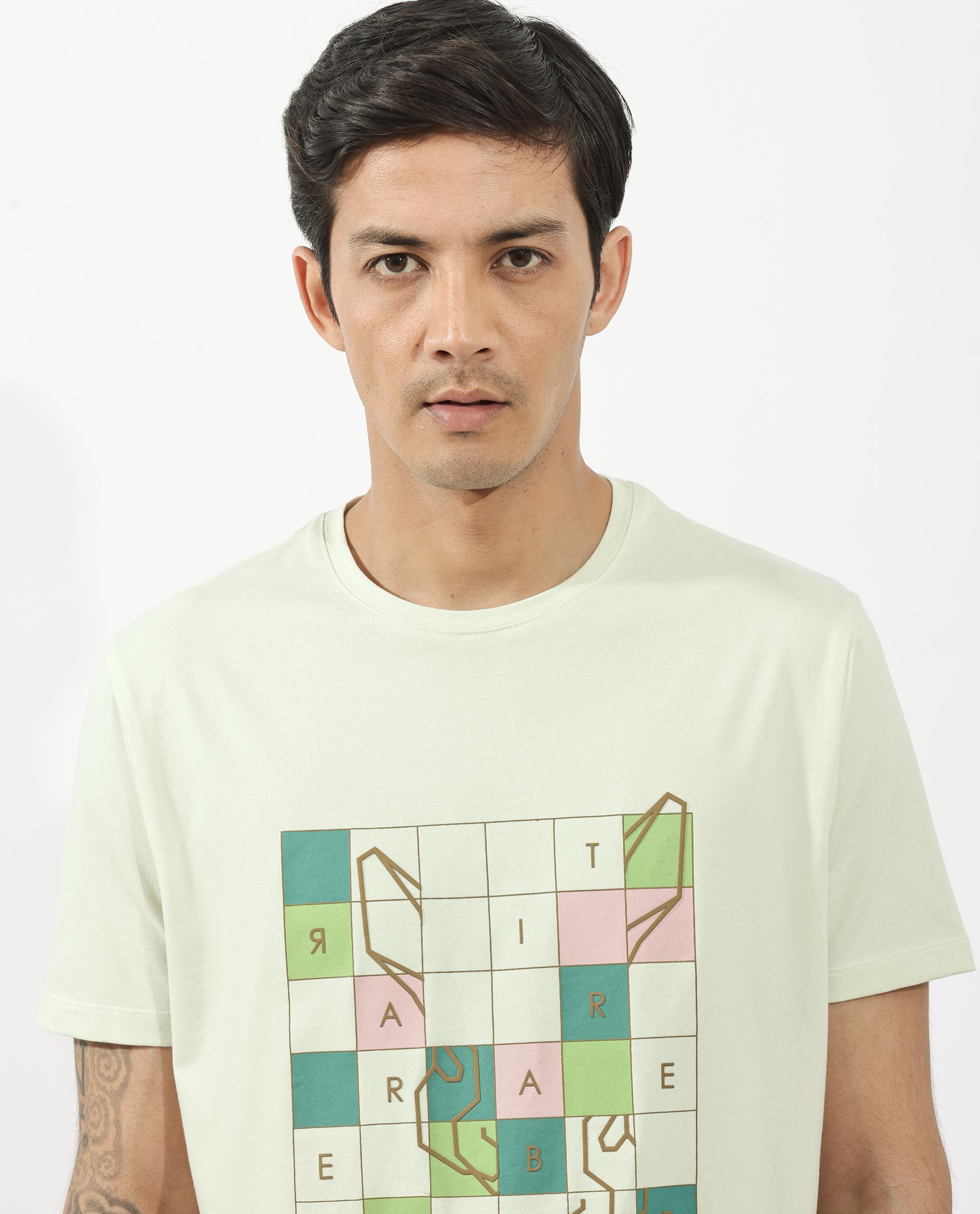 Rare Rabbit Articale Mens Cove Pastel Green Cotton Polyester Fabric Short Sleeve Crew Neck Regular Fit Graphic Printed T-Shirt