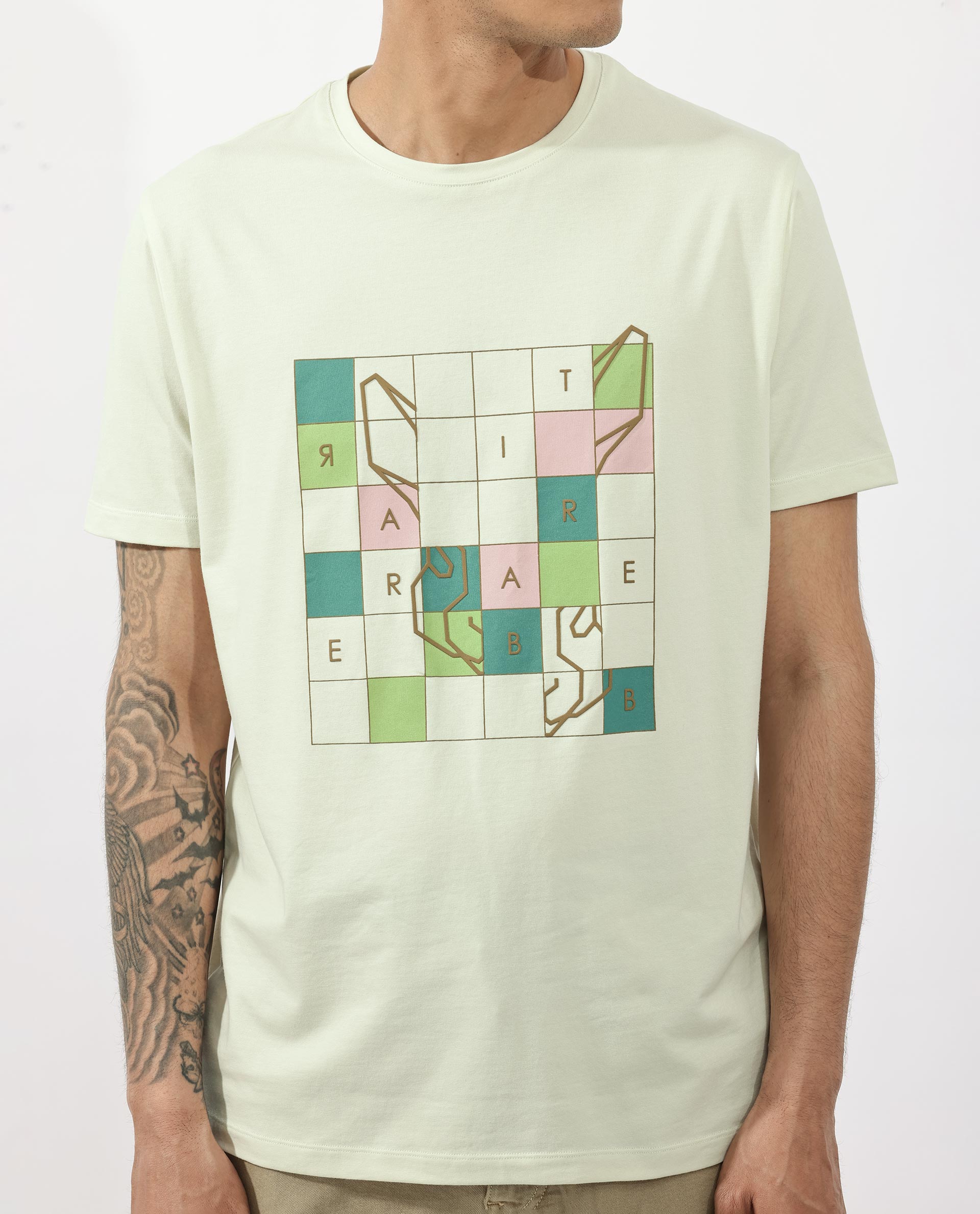 Rare Rabbit Articale Mens Cove Pastel Green Cotton Polyester Fabric Short Sleeve Crew Neck Regular Fit Graphic Printed T-Shirt