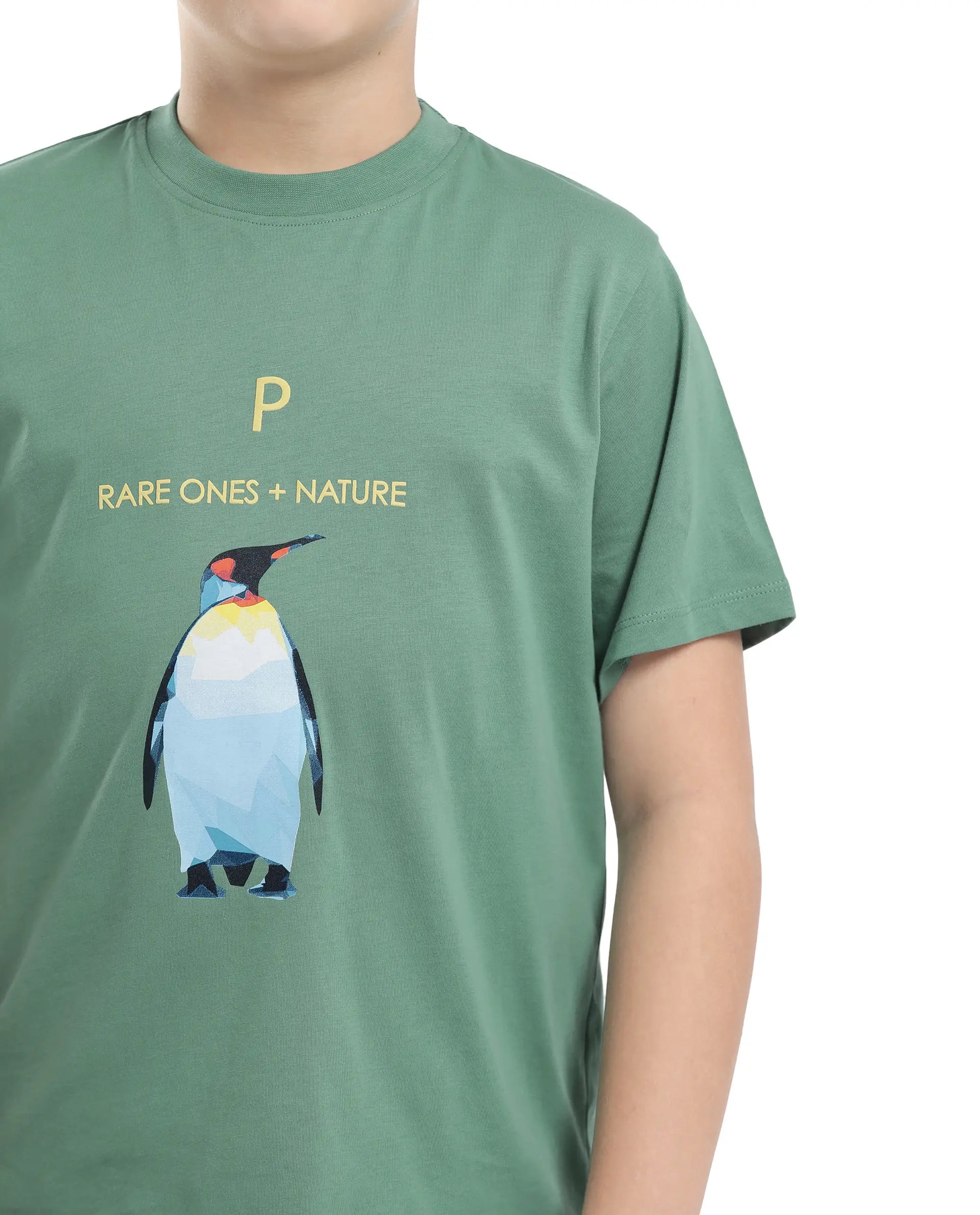 Rare Ones Kids Dawn Green Cotton Half Sleeve Solid Slip-On Closure Regular Fit T-Shirt