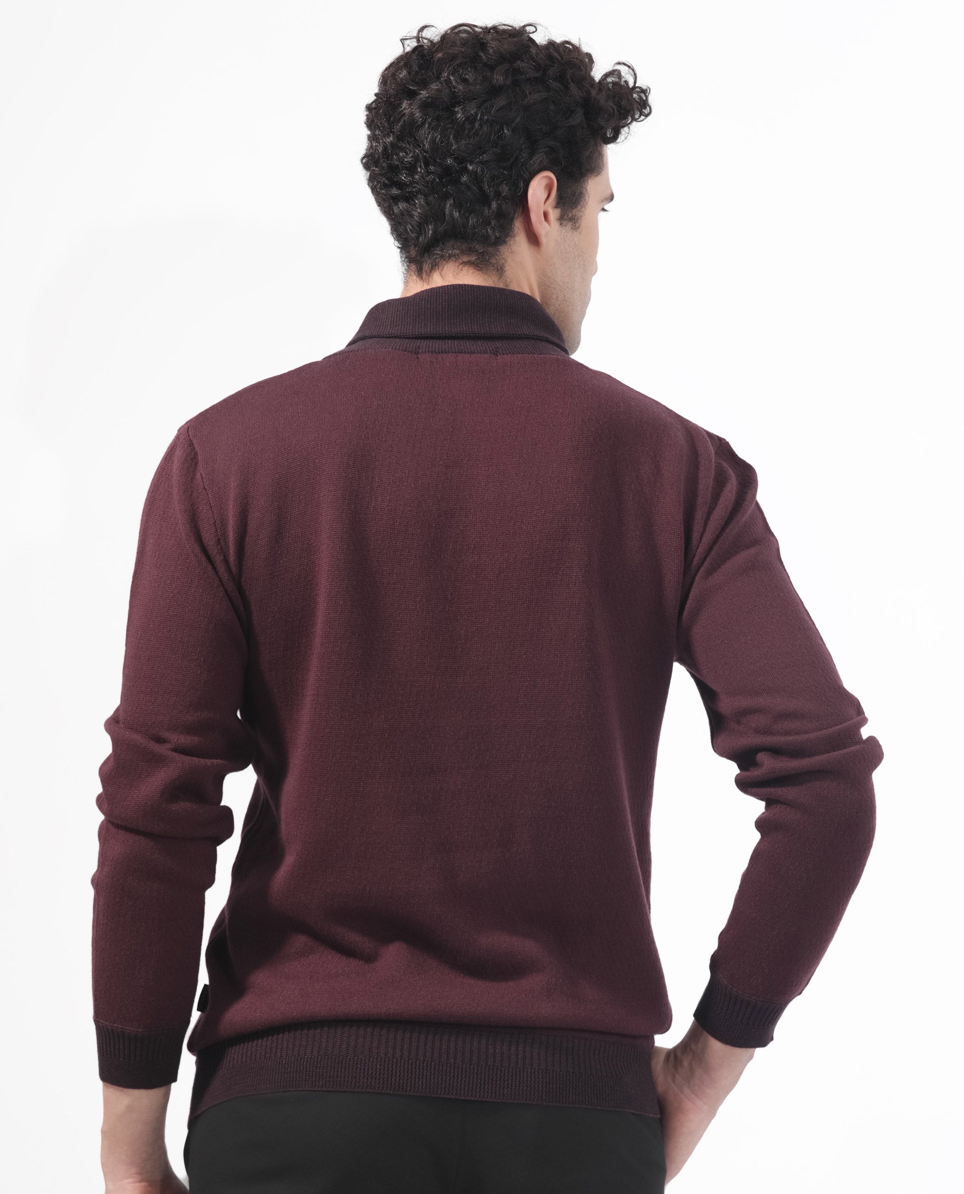 Rare Rabbit Mens Denver Brown Sweater Full Sleeve Collared Neck Solid