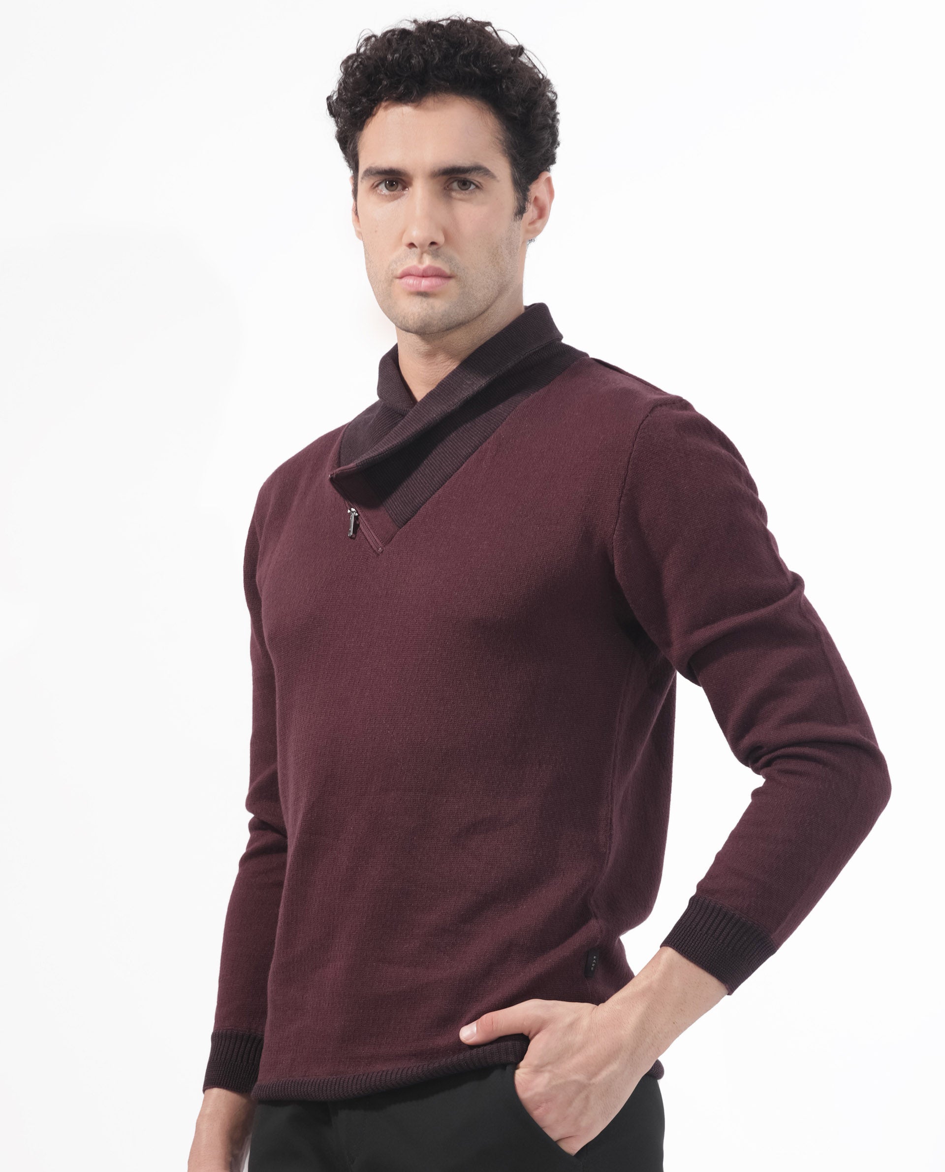 Rare Rabbit Mens Denver Brown Sweater Full Sleeve Collared Neck Solid