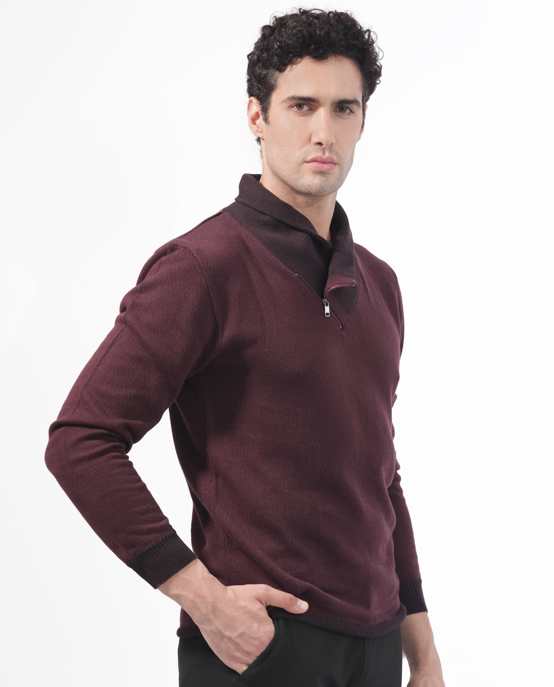 Rare Rabbit Mens Denver Brown Sweater Full Sleeve Collared Neck Solid