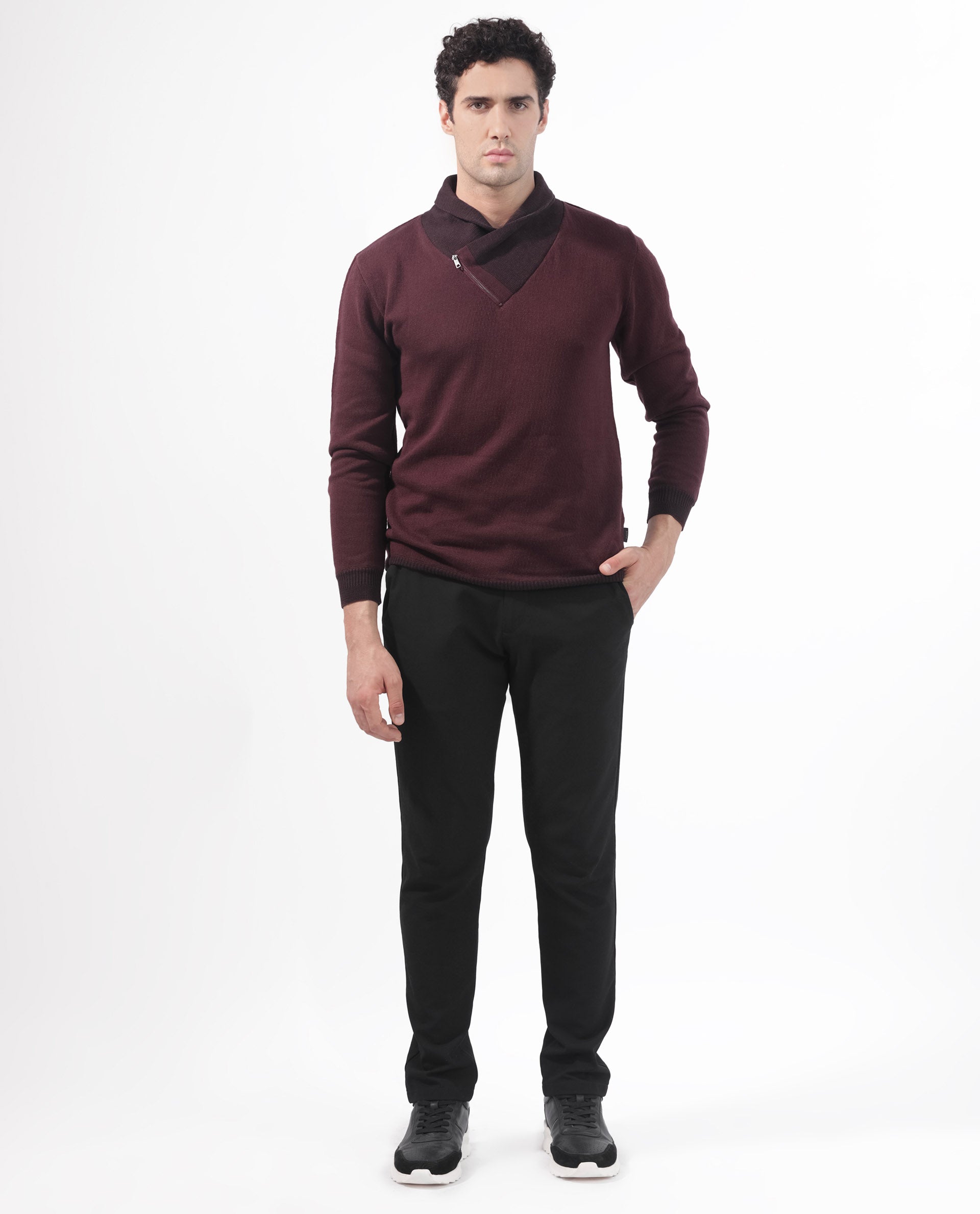 Rare Rabbit Mens Denver Brown Sweater Full Sleeve Collared Neck Solid