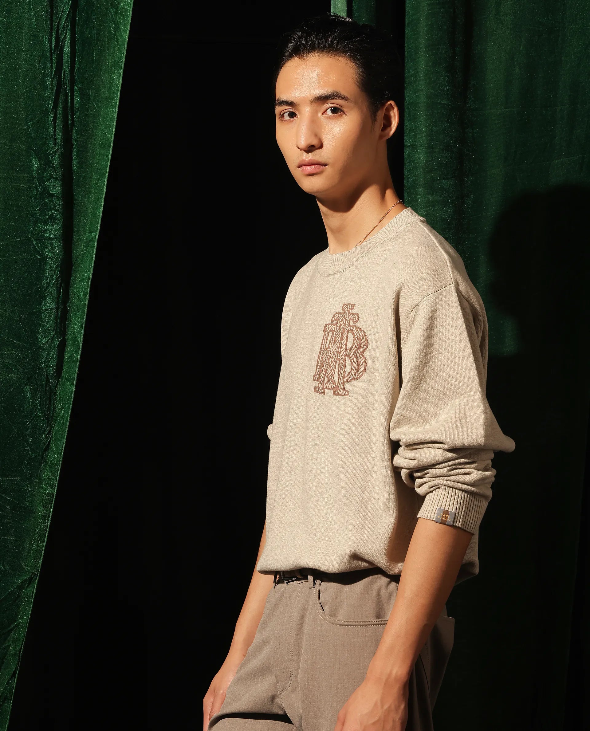 Rare Rabbit Men's Destin Beige Cotton Fabric Full Sleeve Crew Neck Jacquard Sweater