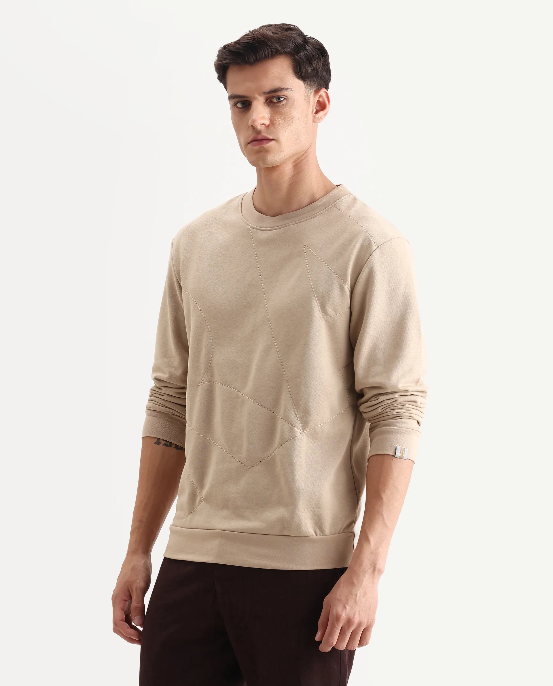 Rare Rabbit Men's Eldron Dusky Beige Cotton Embroidered Regular Fit Full Sleeve Crew Neck Sweatshirt