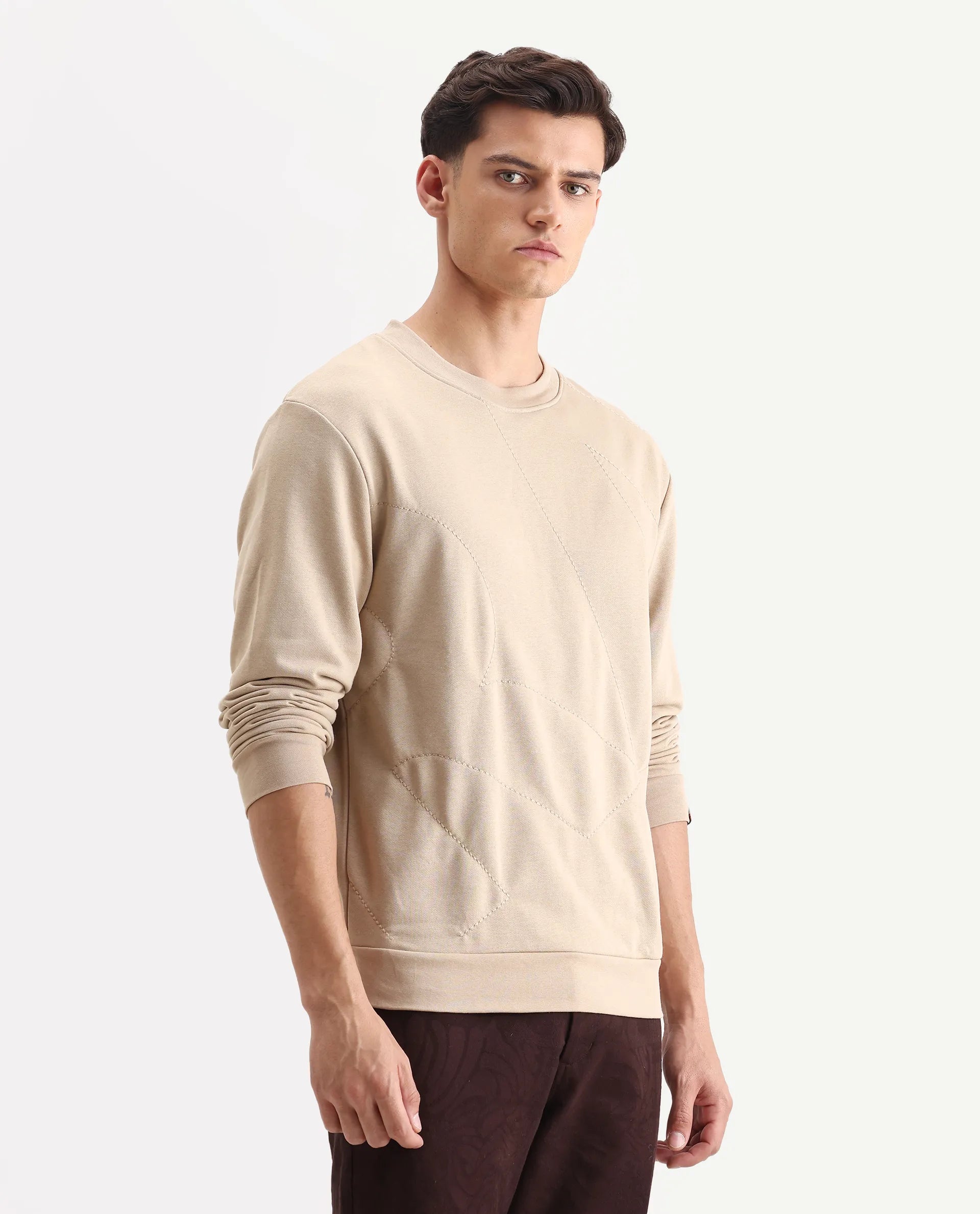 Rare Rabbit Men's Eldron Dusky Beige Cotton Embroidered Regular Fit Full Sleeve Crew Neck Sweatshirt