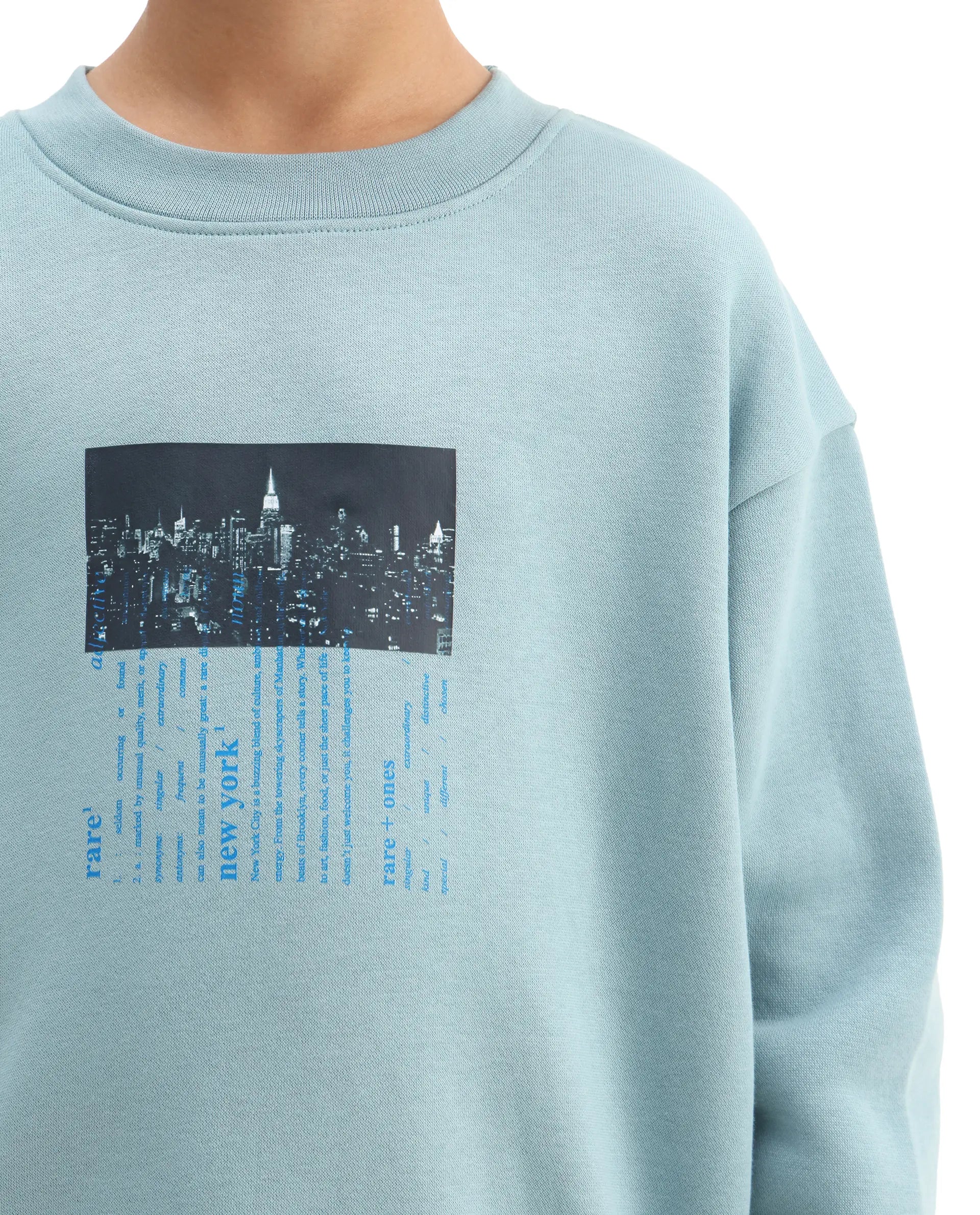 Rare Ones Kids Elio Light Blue Cotton Blend Digital Print Oversized Sweatshirt