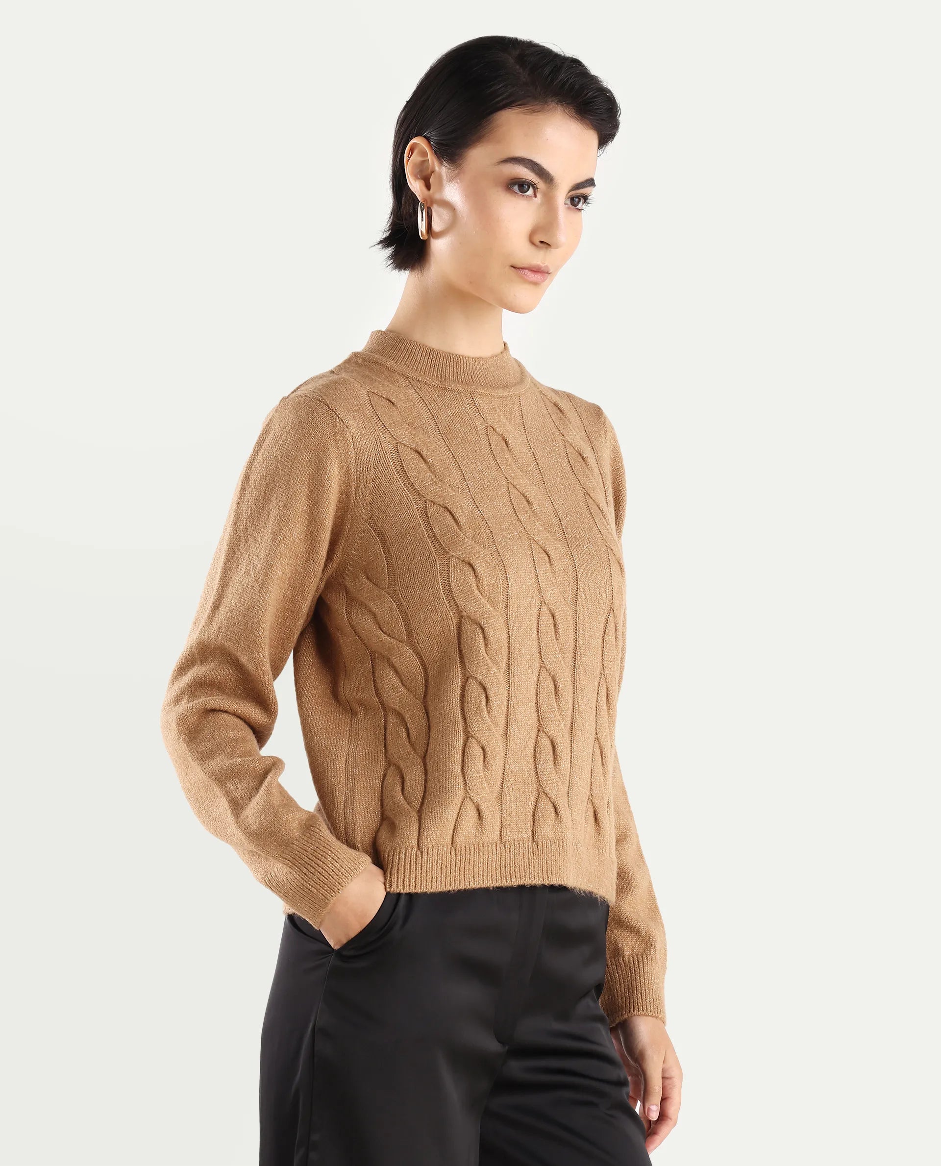 Rareism Women's Emm Camel Acrylic Crew Neck Plain Regular Fit Sweater