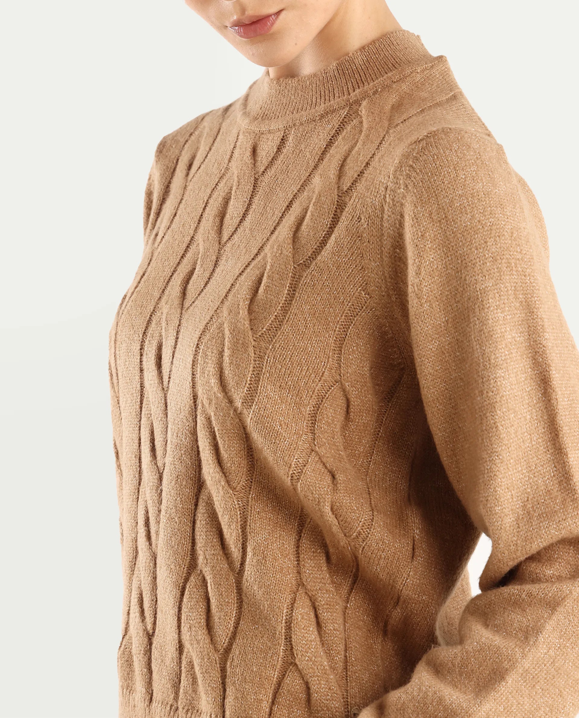 Rareism Women's Emm Camel Acrylic Crew Neck Plain Regular Fit Sweater