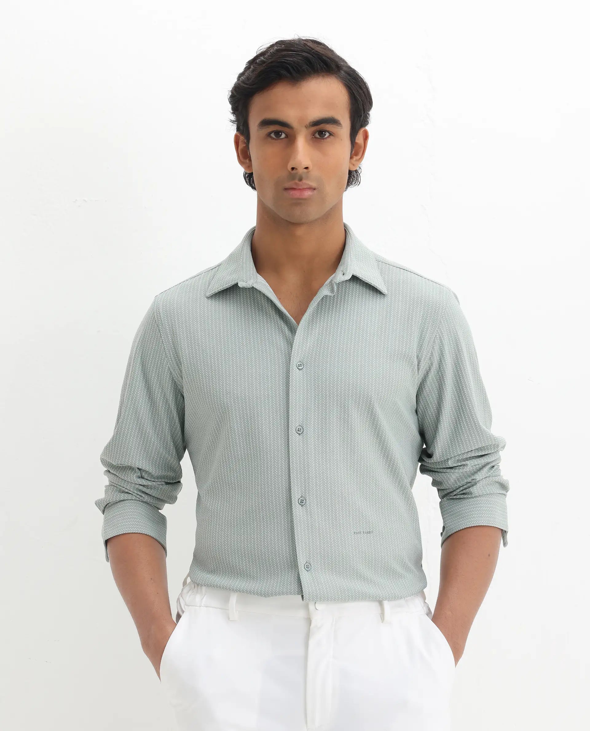 Rare Rabbit Men's Exclo Pastel Green Polyester Jacquard Regular Fit Full Sleeve Collared Shirt