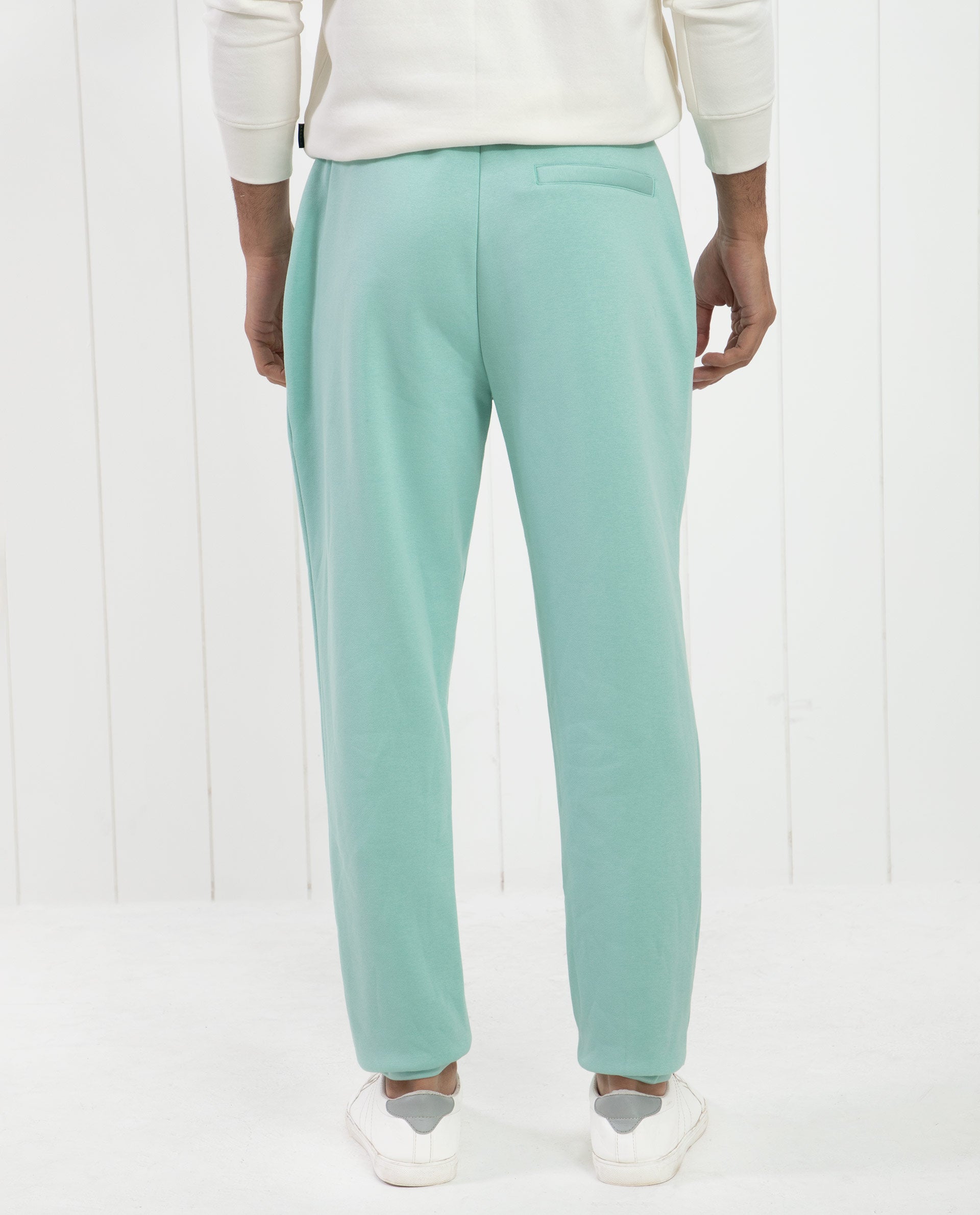 Rare Rabbit Men's Faroe Light Green Cotton Polyester Fabric Drawstring Closure Regular Fit Mid Rise Trackpant