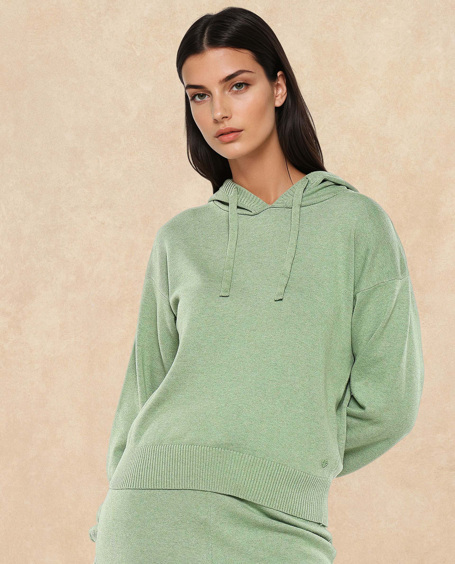 Rareism Women Finnet T Dusky Green Plain Hooded Plain Sweater