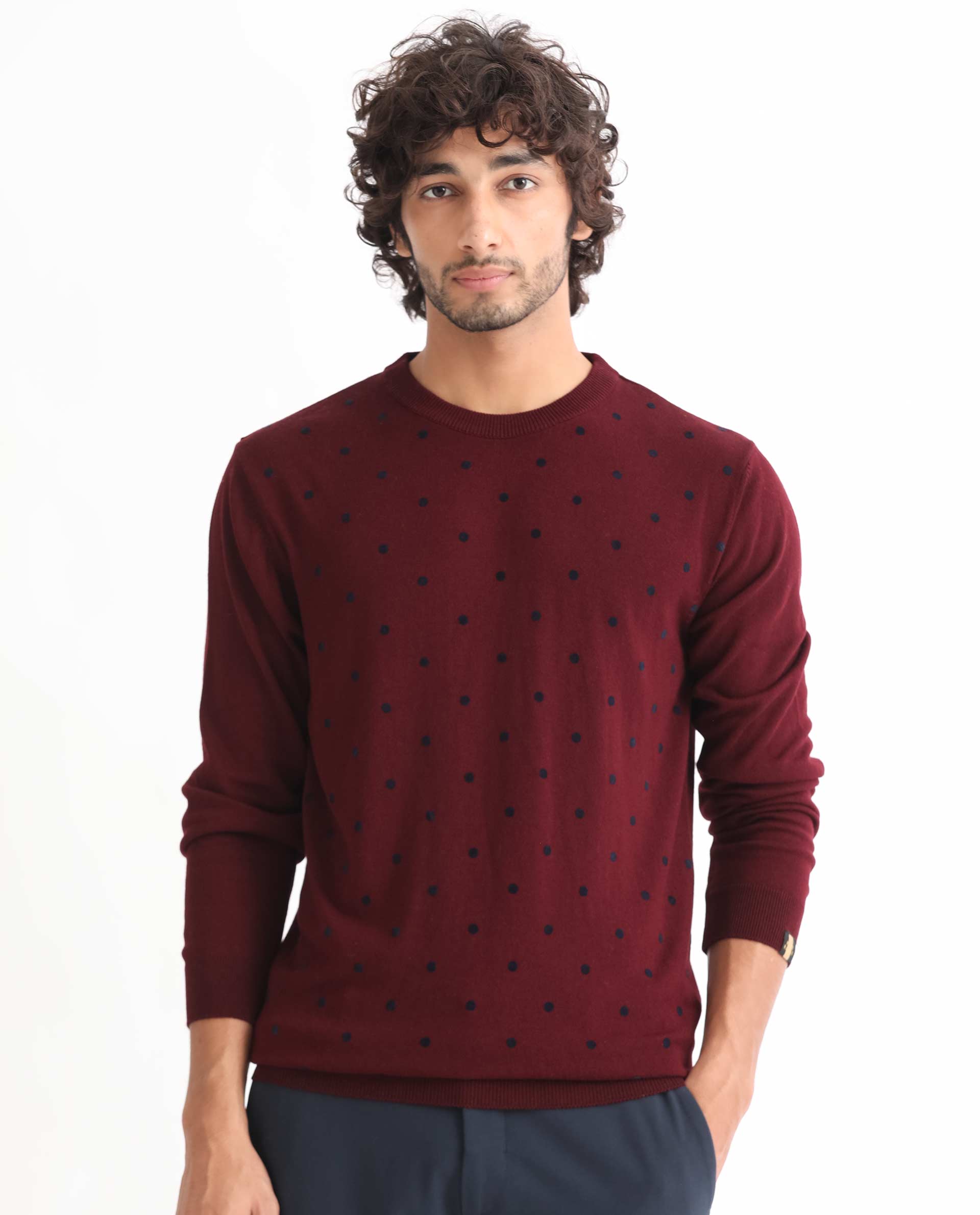 Rare Rabbit Mens Flock Dark Maroon Viscose Nylon Fabric Crew Neck Full Sleeves Flock Printed Polka Dot Sweater