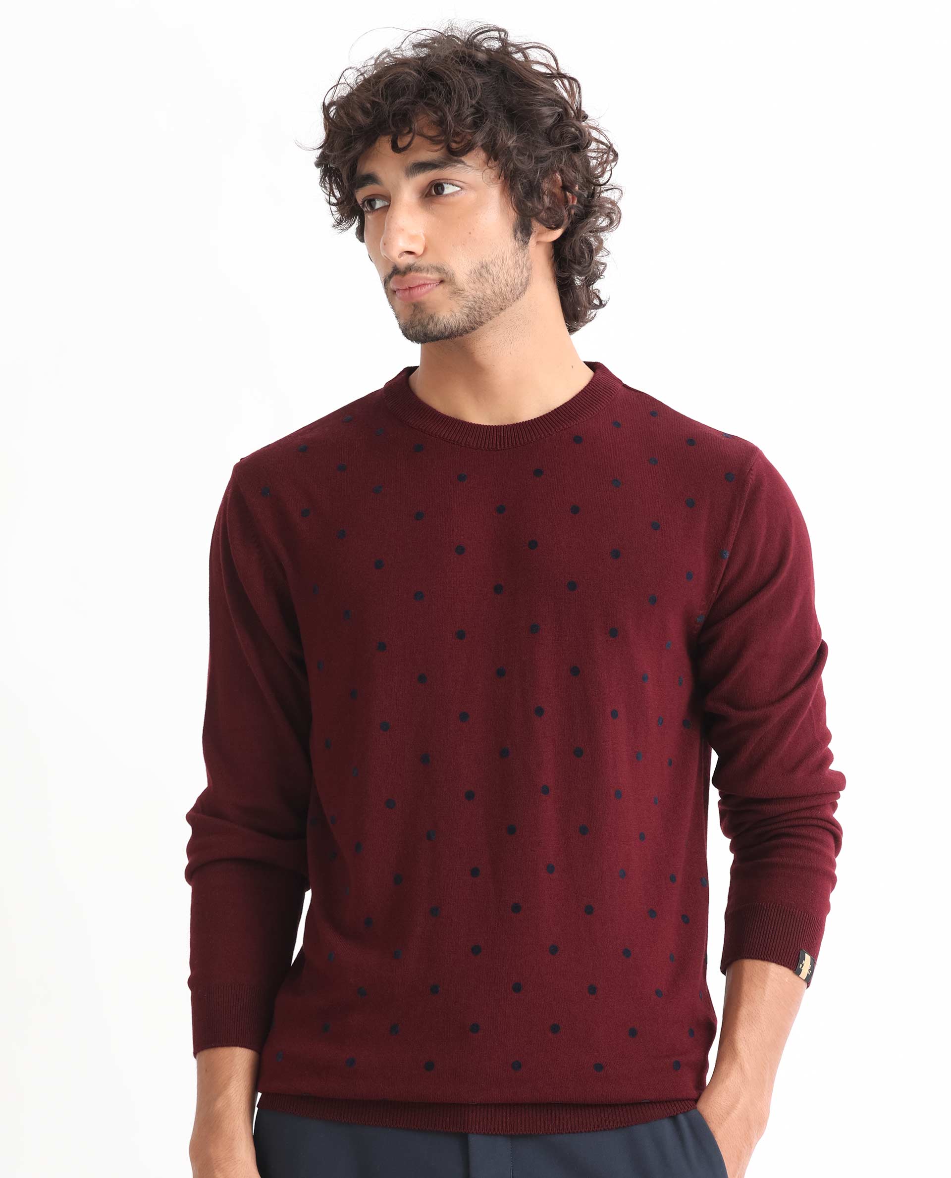 Rare Rabbit Mens Flock Dark Maroon Viscose Nylon Fabric Crew Neck Full Sleeves Flock Printed Polka Dot Sweater