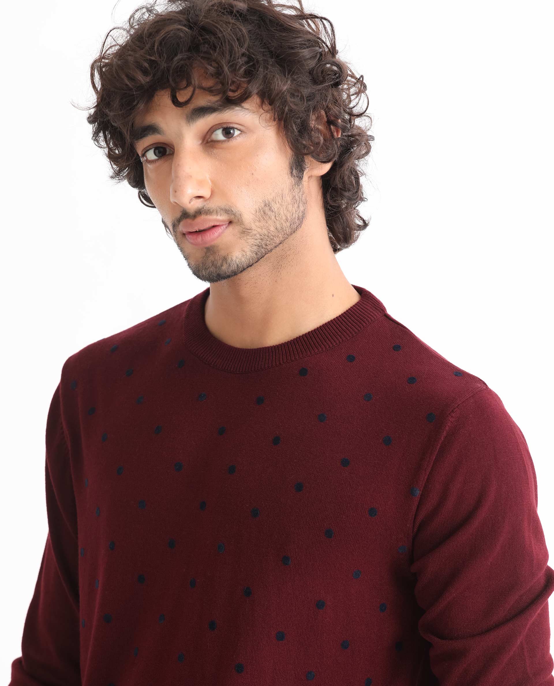 Rare Rabbit Mens Flock Dark Maroon Viscose Nylon Fabric Crew Neck Full Sleeves Flock Printed Polka Dot Sweater