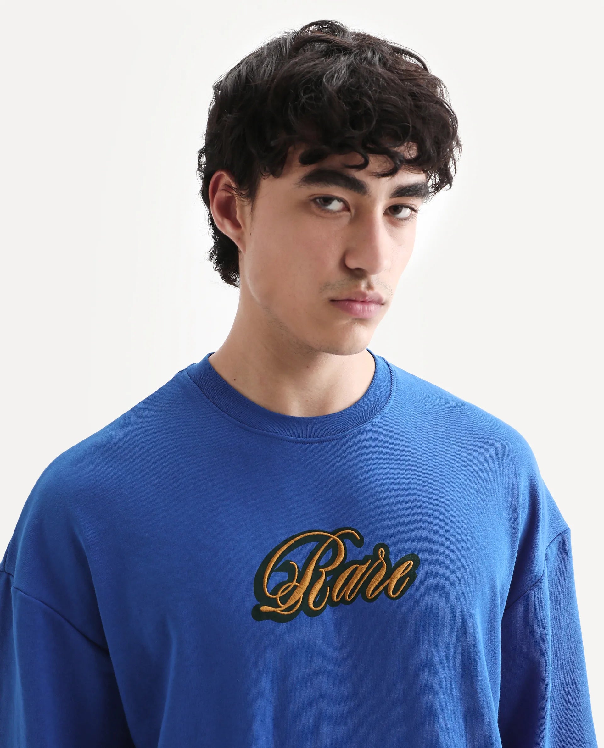 Rare Rabbit Men's Frejus Blue Cotton Blend Embroidered Regular Fit Full Sleeve Crew Neck Sweatshirt