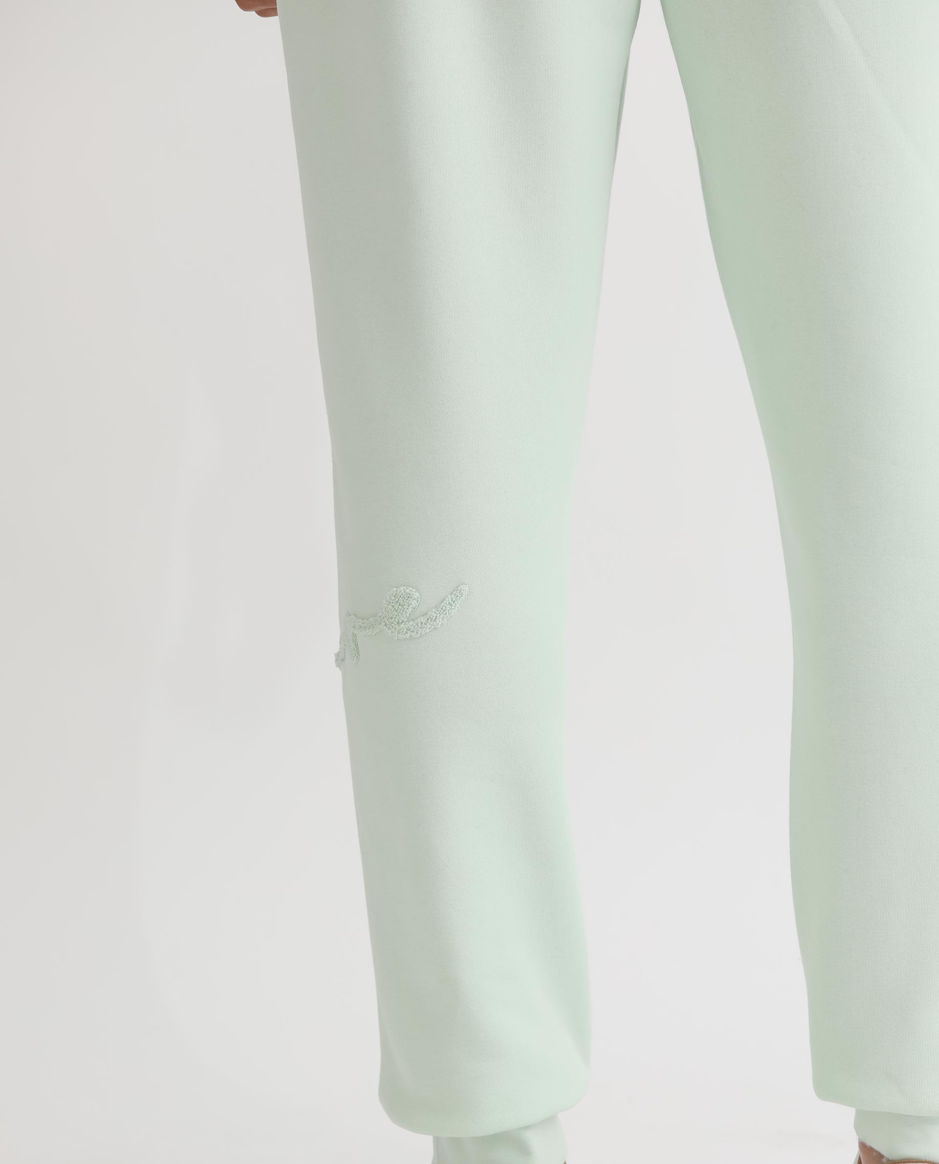 Rare Rabbit Mens Glame Light Green Cotton Polyester Fabric Drawstring Closure Regular Fit Mid Rise Trackpant