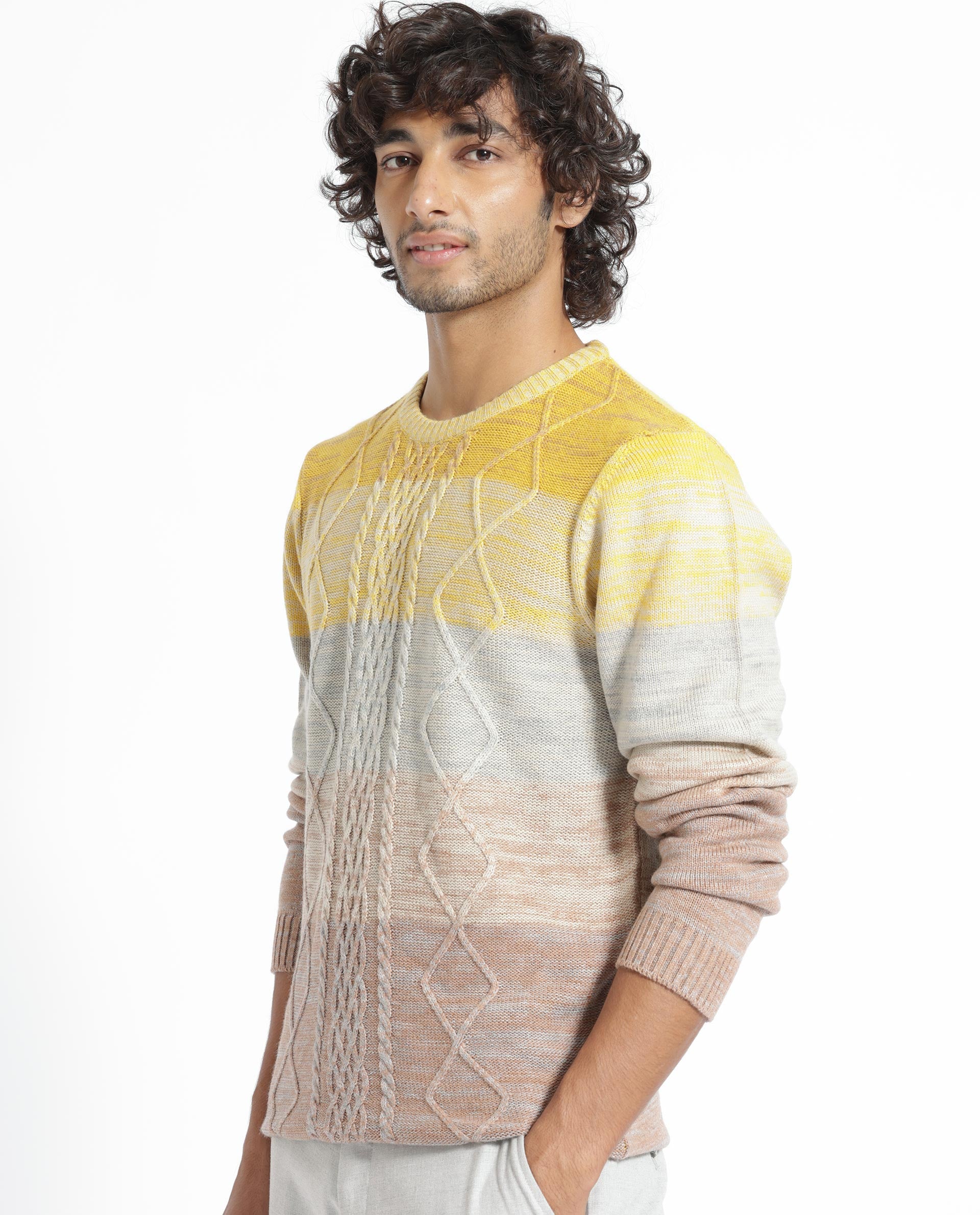 Rare Rabbit Mens Grindle Mustard Acrylic Fabric Crew Neck Full Sleeve Multicolored Textured Knitted Sweater