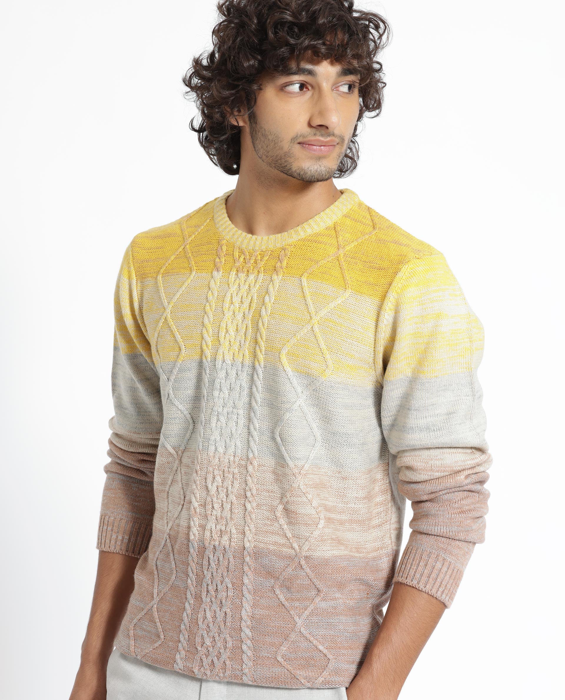 Rare Rabbit Mens Grindle Mustard Acrylic Fabric Crew Neck Full Sleeve Multicolored Textured Knitted Sweater