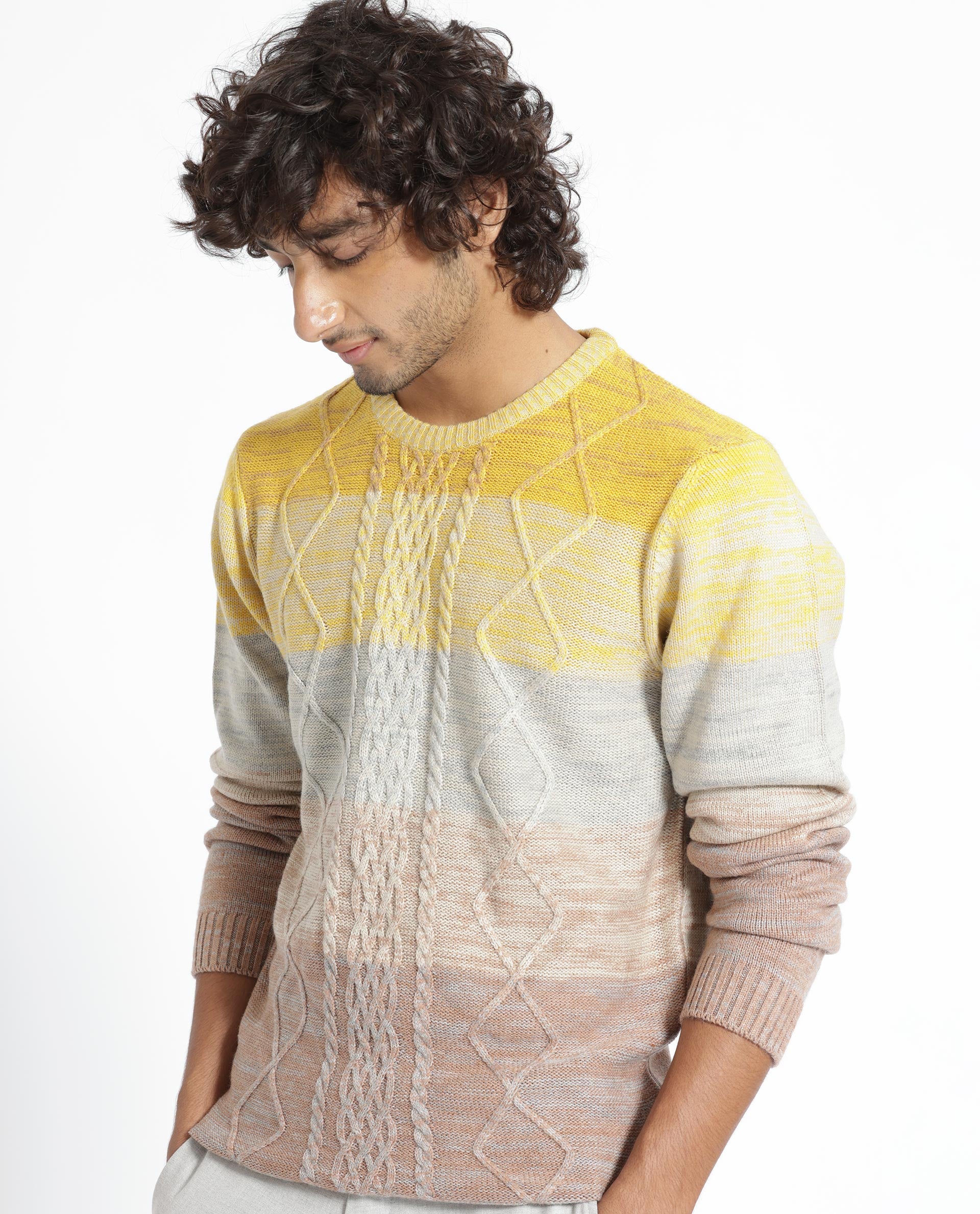 Rare Rabbit Mens Grindle Mustard Acrylic Fabric Crew Neck Full Sleeve Multicolored Textured Knitted Sweater