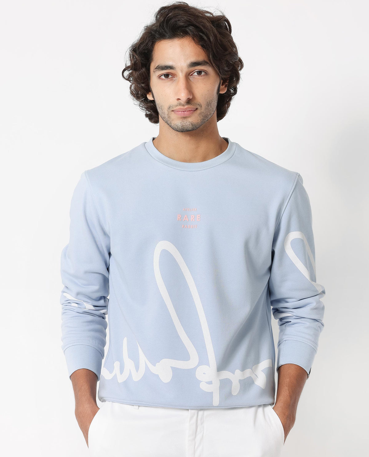 Rare Rabbit Mens Halsey Light Blue Cotton Polyester Terry Fabric Round Neck Knitted Full Sleeves Comfortable Fit Sweatshirt