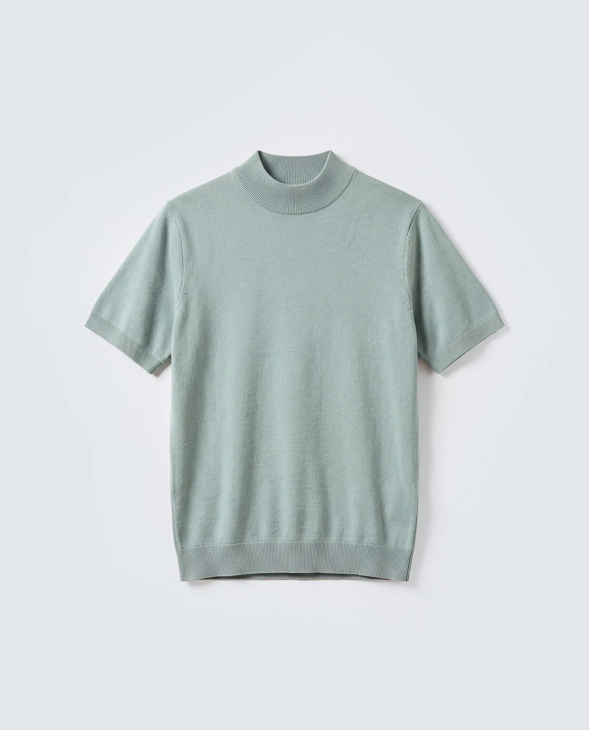 Rare Rabbit Men's Alfet-25 Dusky Green Viscose Plain Regular Fit Half Sleeve High Neck T-Shirt