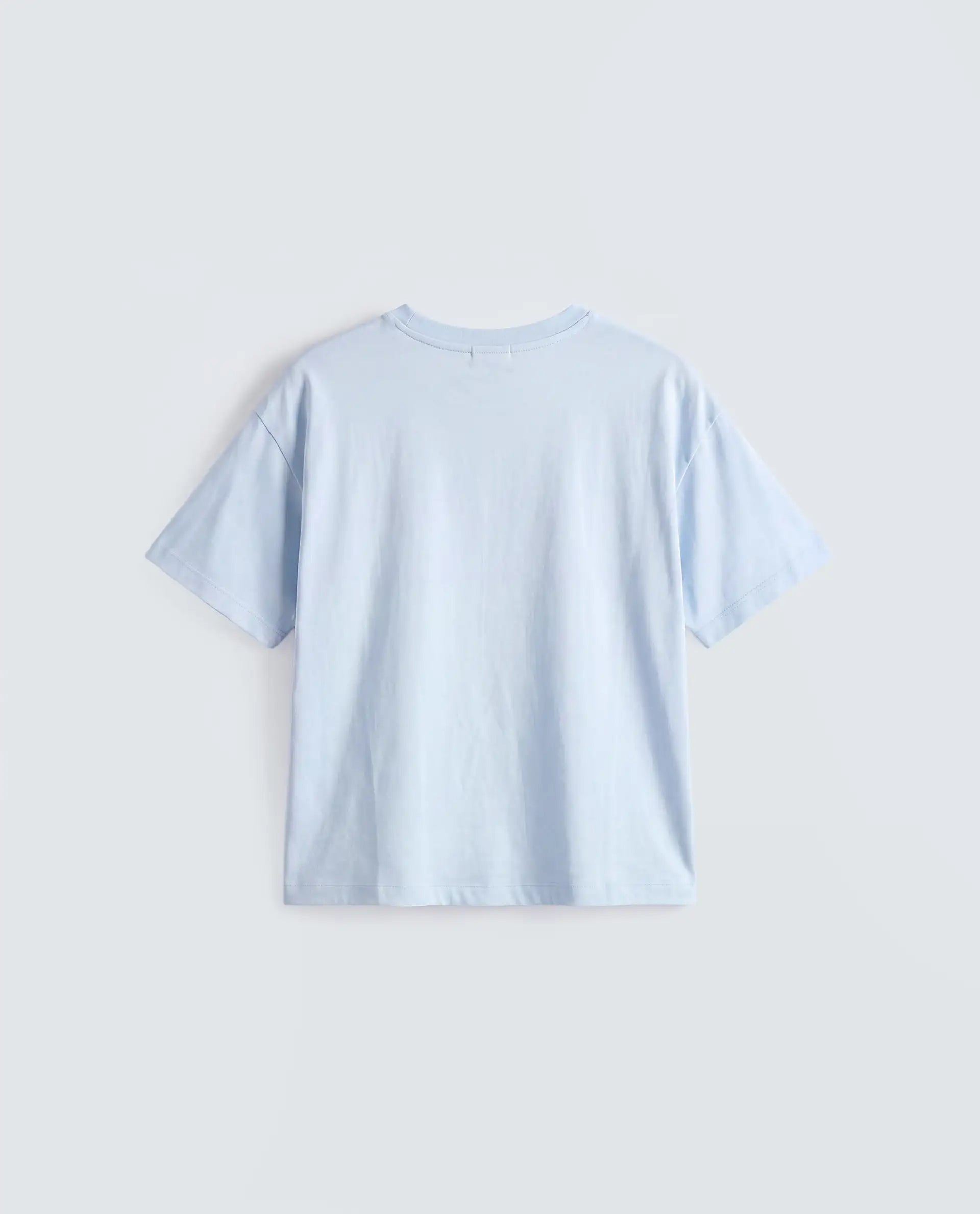 Rareism Women's Zinay Pastel Blue Cotton Blend Half Sleeve Boxy Plain T-Shirt