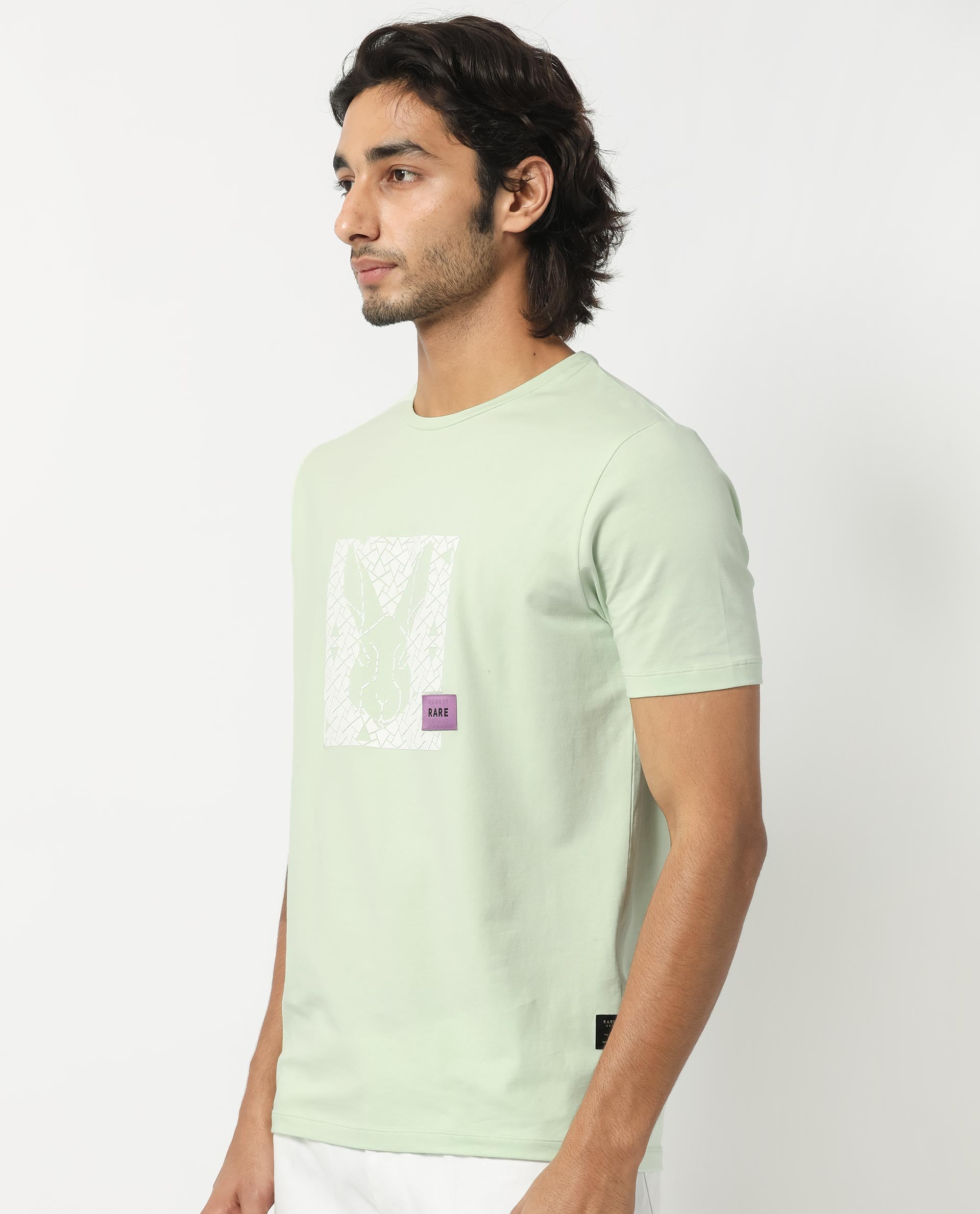 Rare Rabbit Men's Herald Light Green Crew Neck HD Print Logo and Branding Half Sleeves Regular Fit T-Shirt